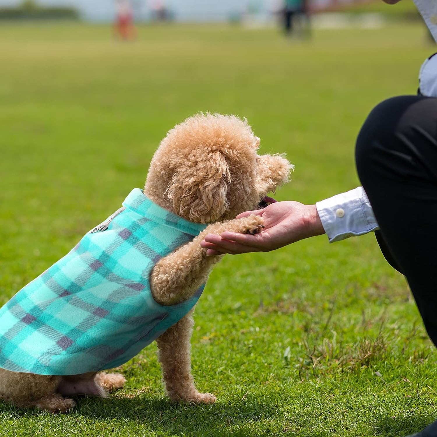 4 Pieces Winter Fabric Dog Sweater with Vest Dog Pullover Jacket Warm Pet Dog Clothes for Puppy Small Dogs Cat (Multiple Colors, M) image number 2