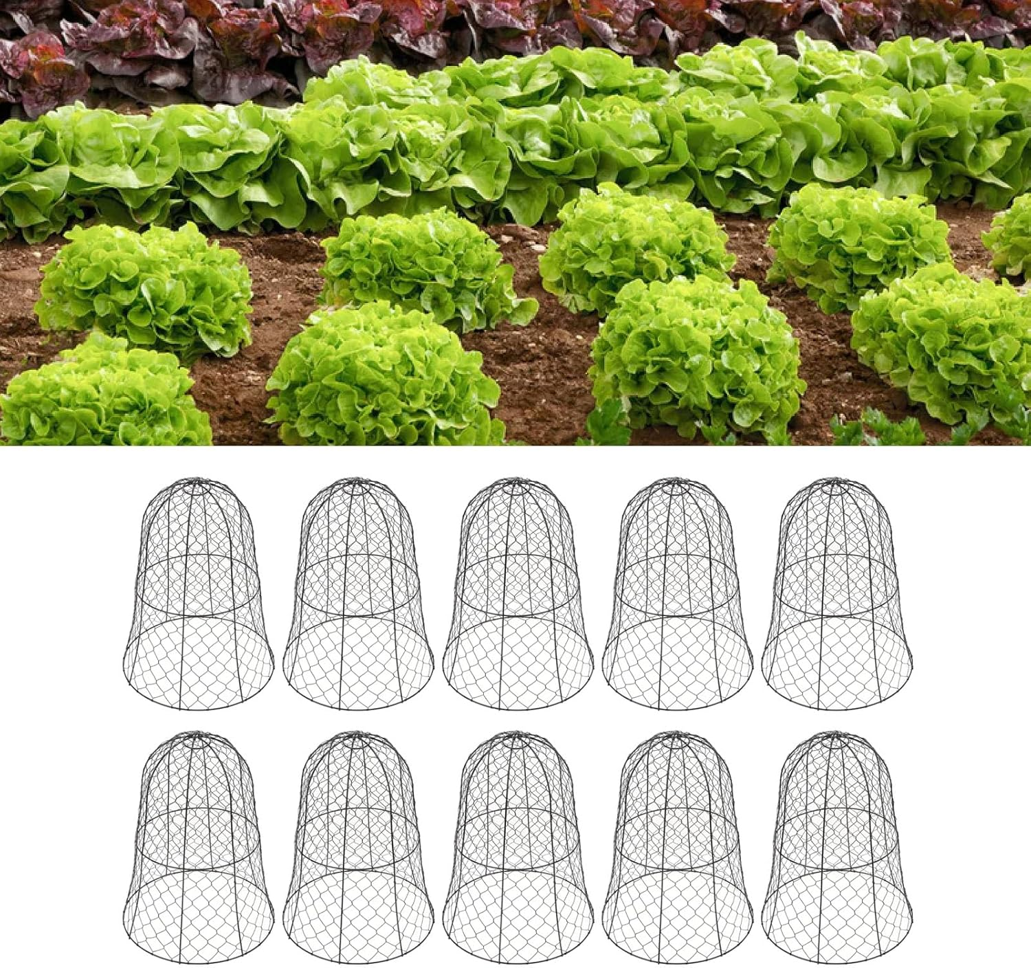 10 Packs Black Garden Chicken Wire Cloche Cover with Top Hook, Bell Shape Design, Iron Material for Effective Plant image number 6