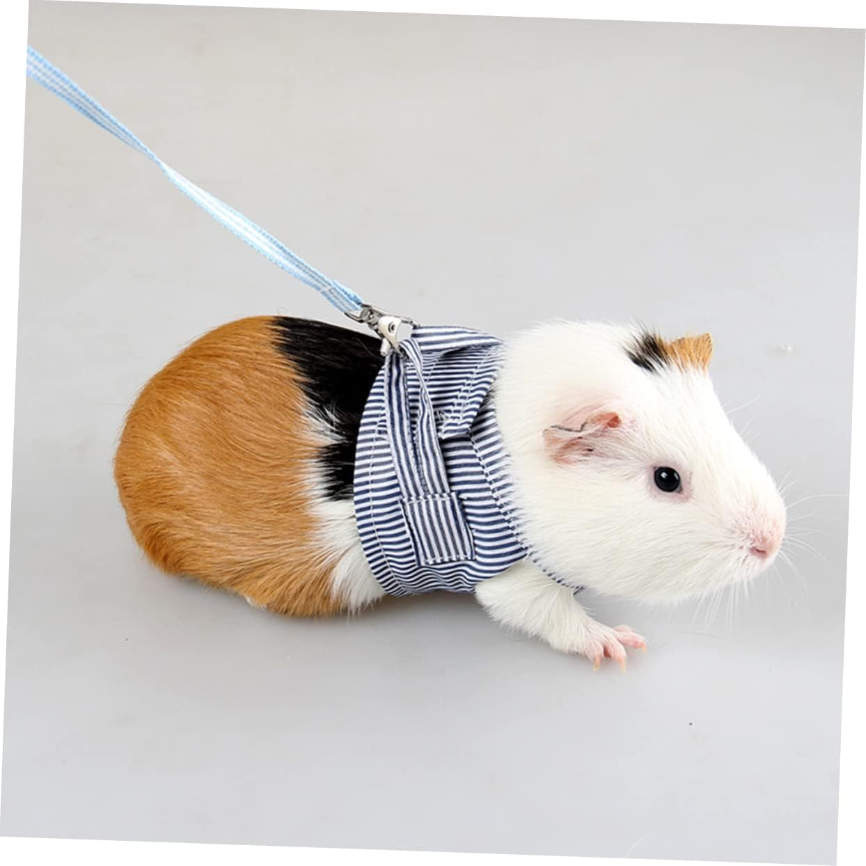 Minkissy Breathable Lightweight Cotton Pet Harness for Small Pets, Chest Strap Leash for Guinea Pigs and Hedgehogs in Size L image number 1