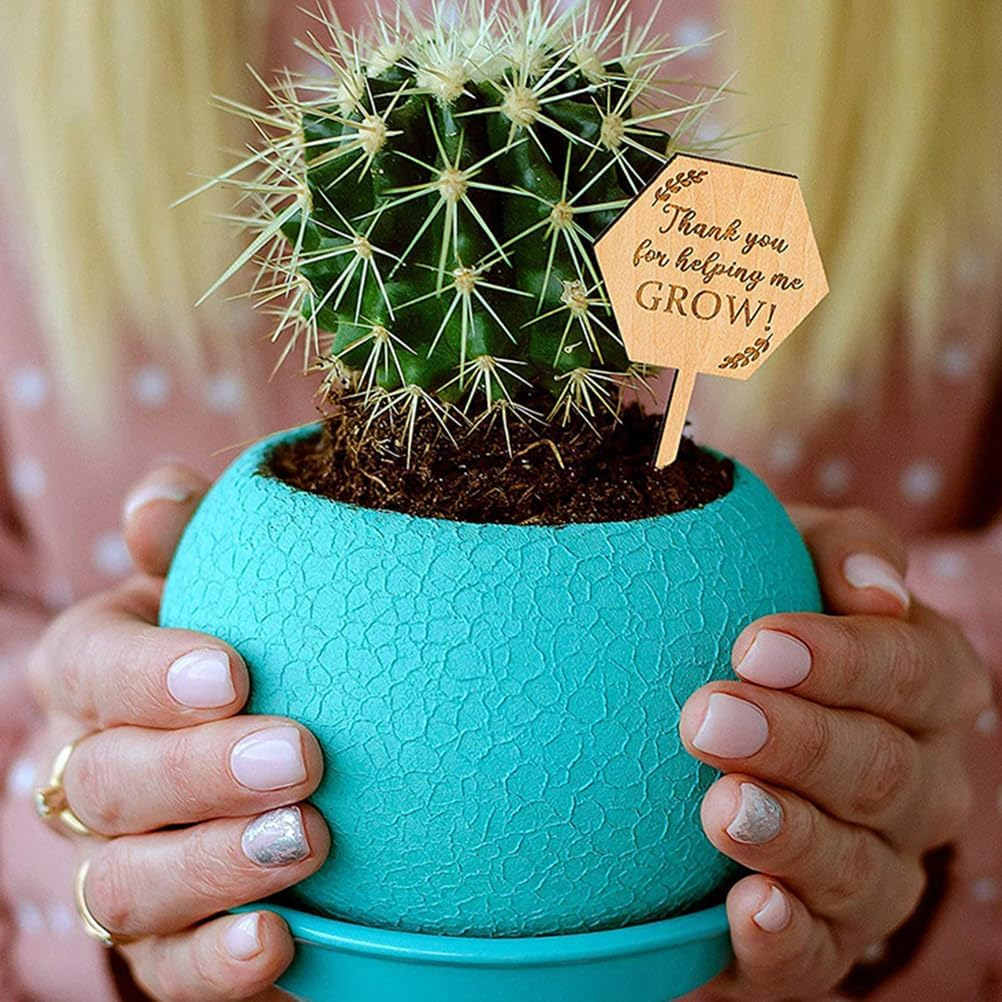 BESPORTBLE Plant Labels Plant Tags: 40Pcs Wood Plant Markers Thank You for Helping Me Grow Succulent Tags Teacher Appreciation Wooden Nursery Garden Labels for Vegetable Potted Plants image number 3