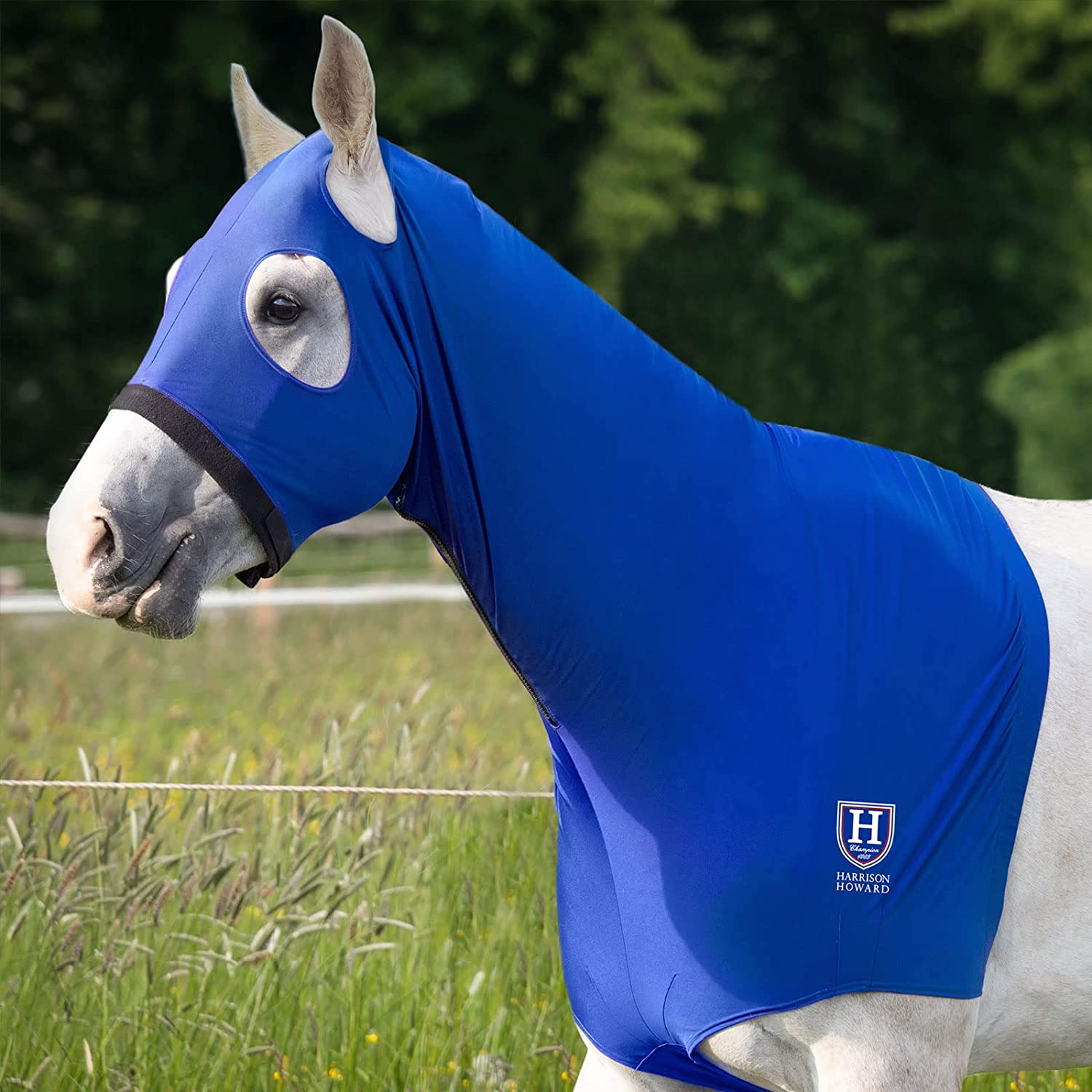 Harrison Howard Horse Stretch Hood without Ears Snug Fitting Hood with Zip Closure Covers Face, Shoulders, Mane, Chest and Withers Perfect for Show/Event Preparation - Blue image number 6