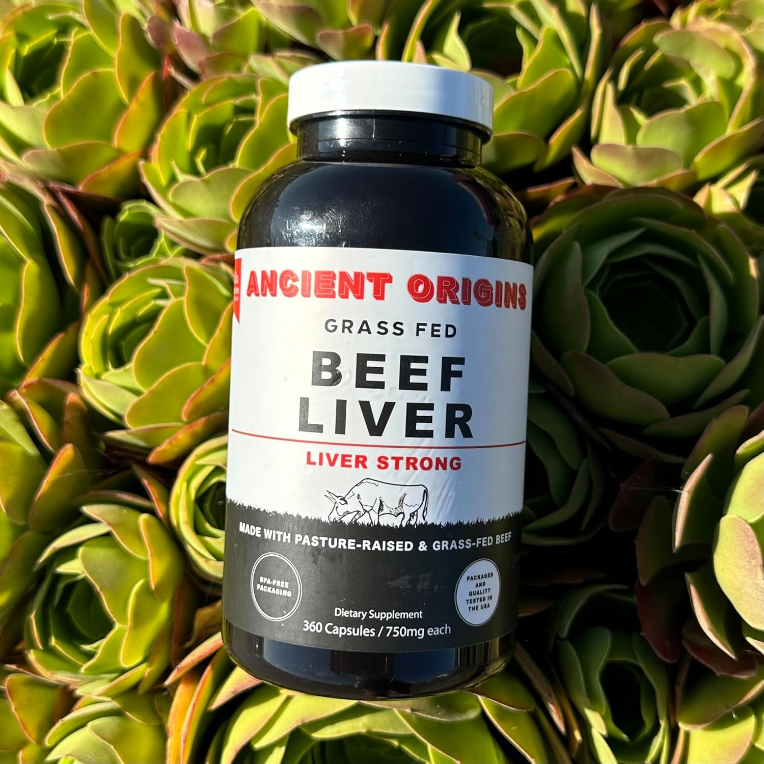 ANCIENT ORIGINS Grass-Fed Beef Liver 4500 Mg (360 Capsules, 750Mg Each) - Desiccated Beef Organ Supplement, 100% Pasture-Raised Cattle, Freeze Dried Undeffated Liver Powder Capsules, 60-Day Supply image number 1
