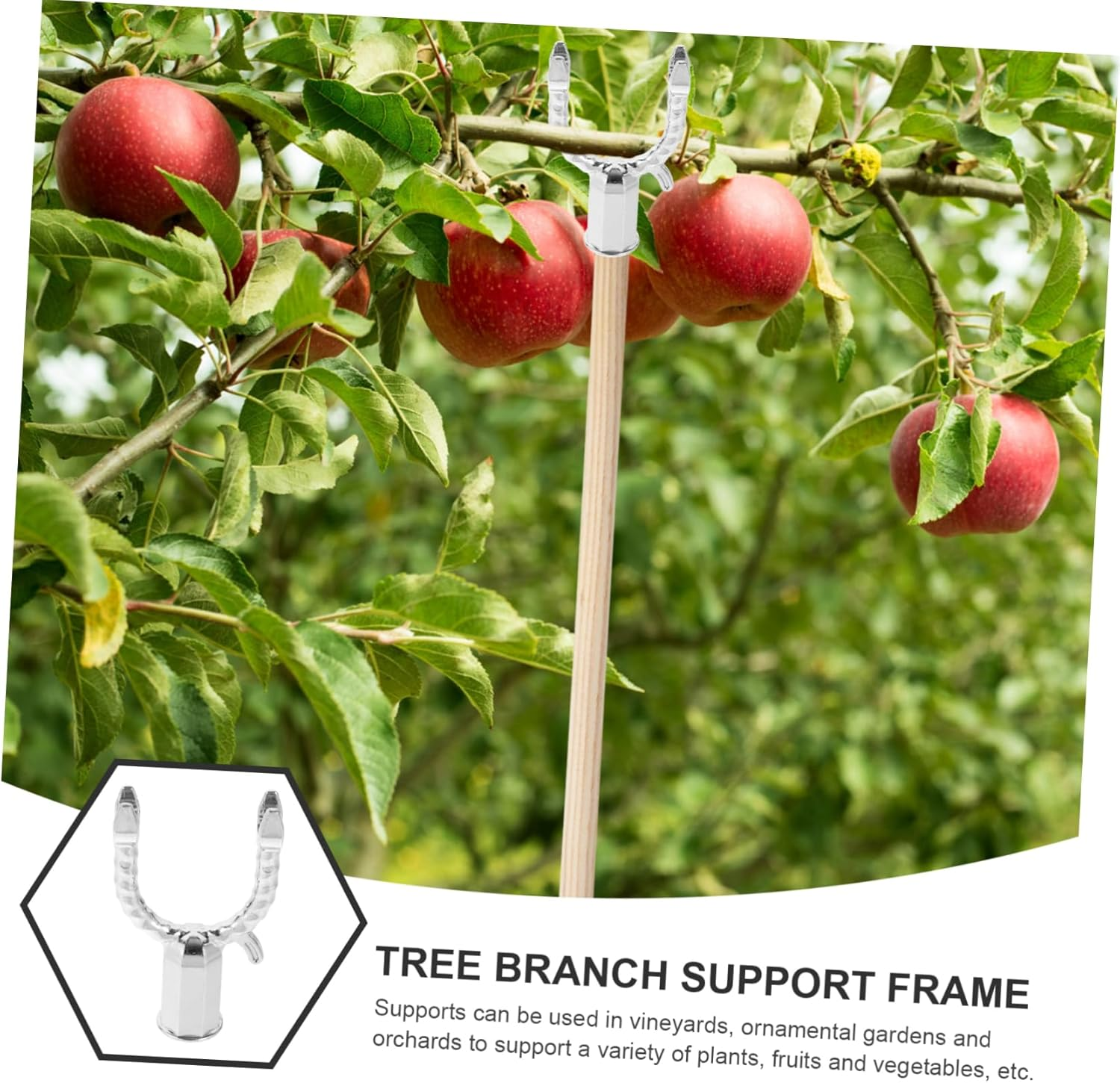 BESPORTBLE 5Pcs Fruit Tree Support Frame Aluminium Alloy Garden Plant Branch Support Tool for Fruited Tree Branches Straightening in Garden image number 6