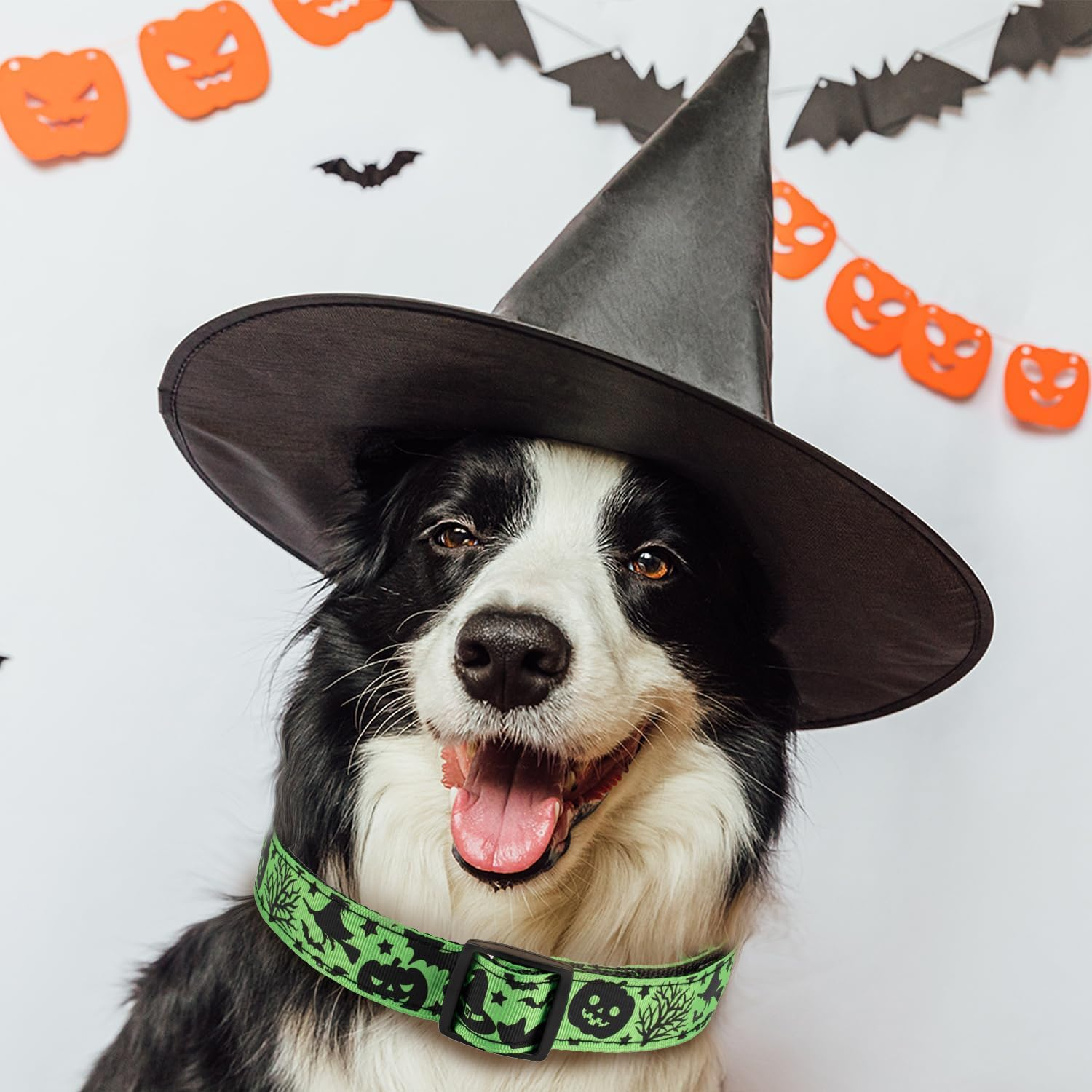 Halloween Dog Collar, Soft Comfy Halloween Themed Dog Collar with Skull Bat Cat Witch Tree Hat Pumpkin Pattern Halloween Dog Collar for Small Medium Large Dogs (Little Bat, XL：2.5 * 42-70CM) image number 5