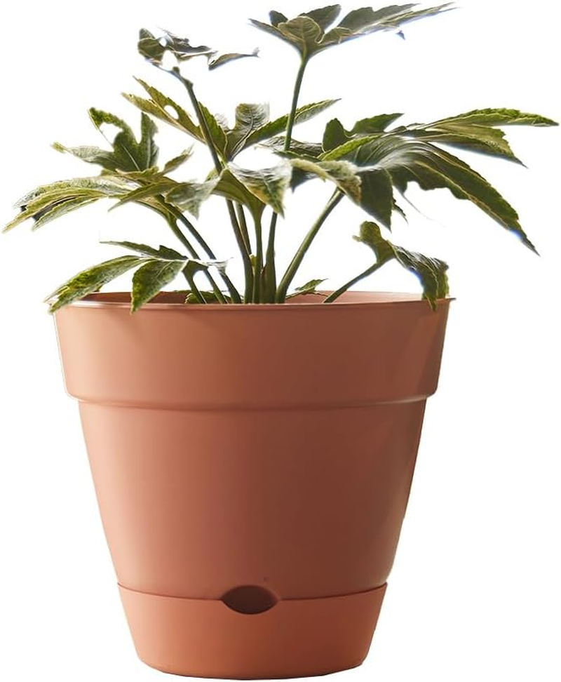 Northcote Pottery Leonard Self-Watering Pot, 31 X 27 Cm Size, Green