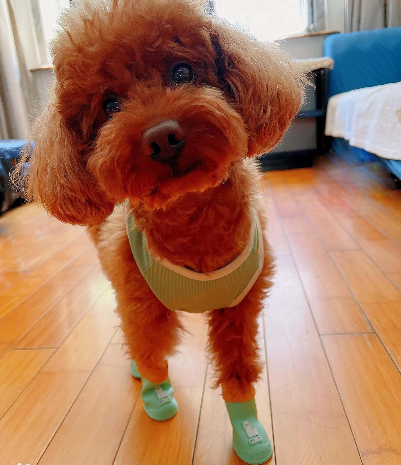 4Pcs Waterproof Dog Boots Dog Shoes for Snow and Rain Middle and Small Dogs (Blue Alpaca, S) image number 2