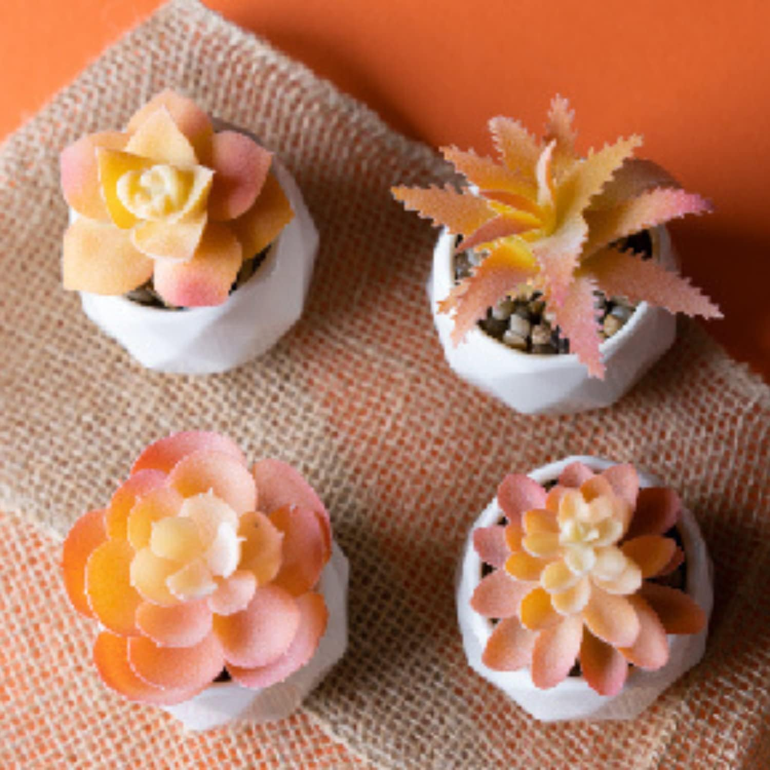Viverie Autumn Orange Artificial Succulent Plants in White Ceramic Pots for Aesthetic Fall Decor, Fireplace Decor, Fall Office Decoration, Office Gifts, Living Room - Faux Plant Included (Set of 4) image number 1