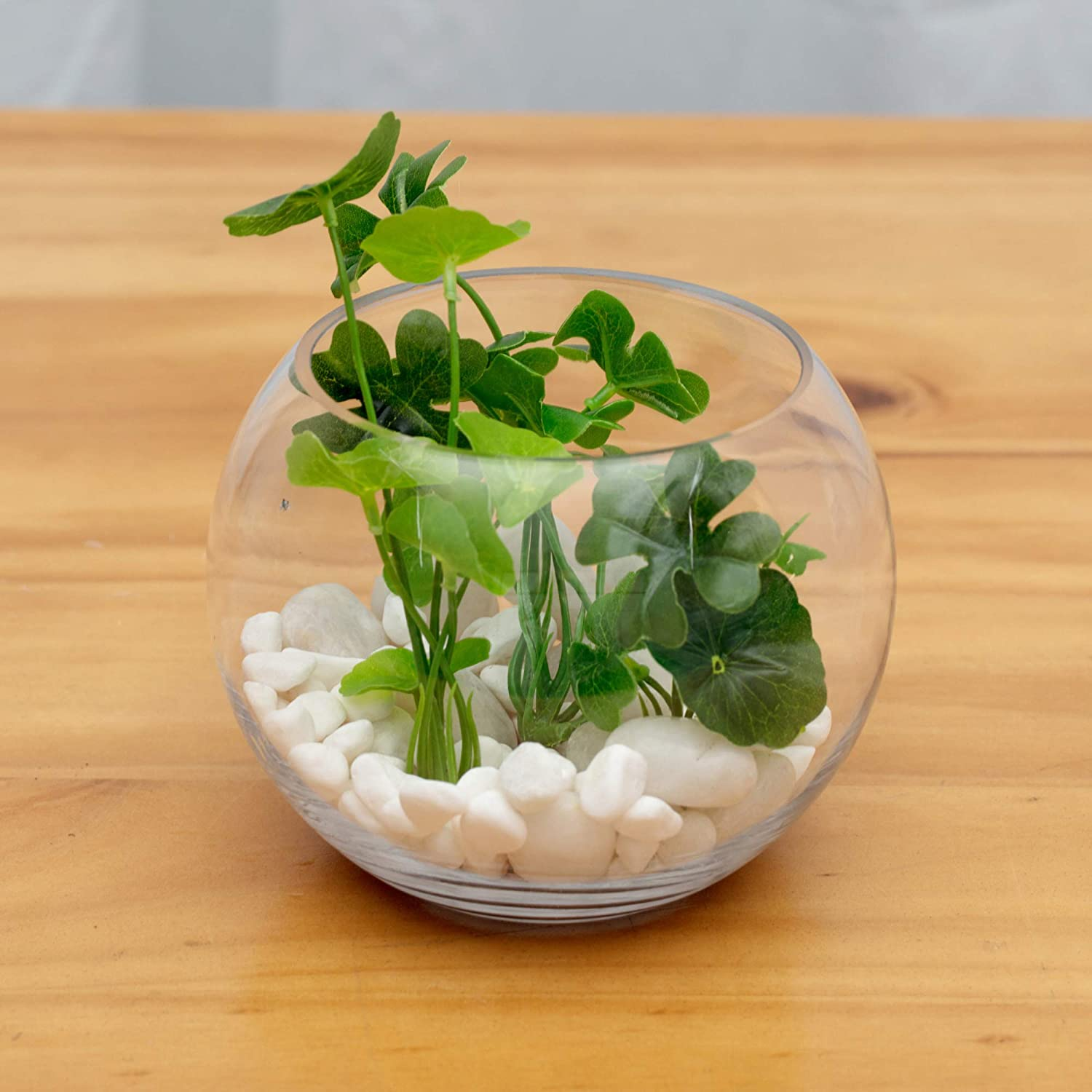 WGV Bowl Glass Vase, Diameter 8", Height 6", Open Width 5", (Multiple Sizes Choices) Clear Bubble Planter Terrarium Fish Bowl for Wedding Event Home Decor, 1 Piece (VBW0008A) image number 4