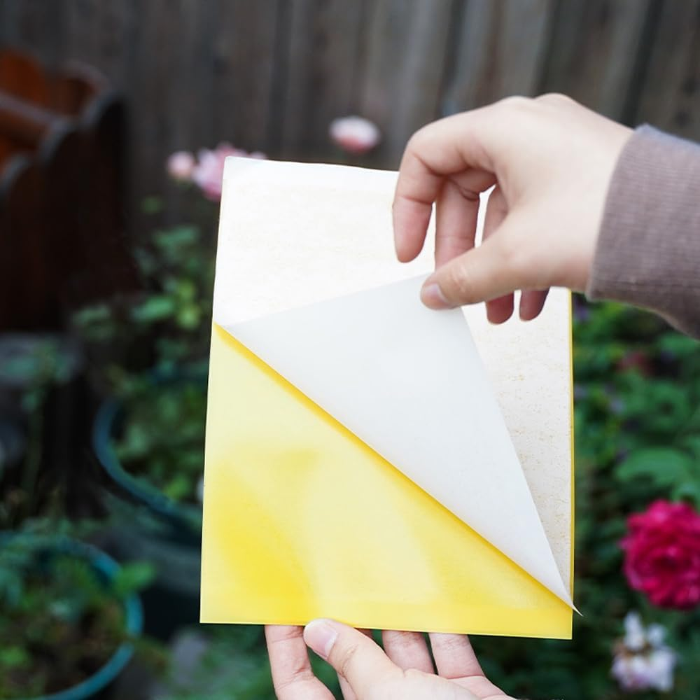 20 Pack Sticky Trap, H HOME-MART Dual-Sided Yellow Sticky Traps,Fruit Fly Trap Indoor,Gnat Traps,15X20Cm, Twist Ties Included for Flying Plant Insect like Fungus Gnats, Flying Aphid, Leaf Miners image number 3