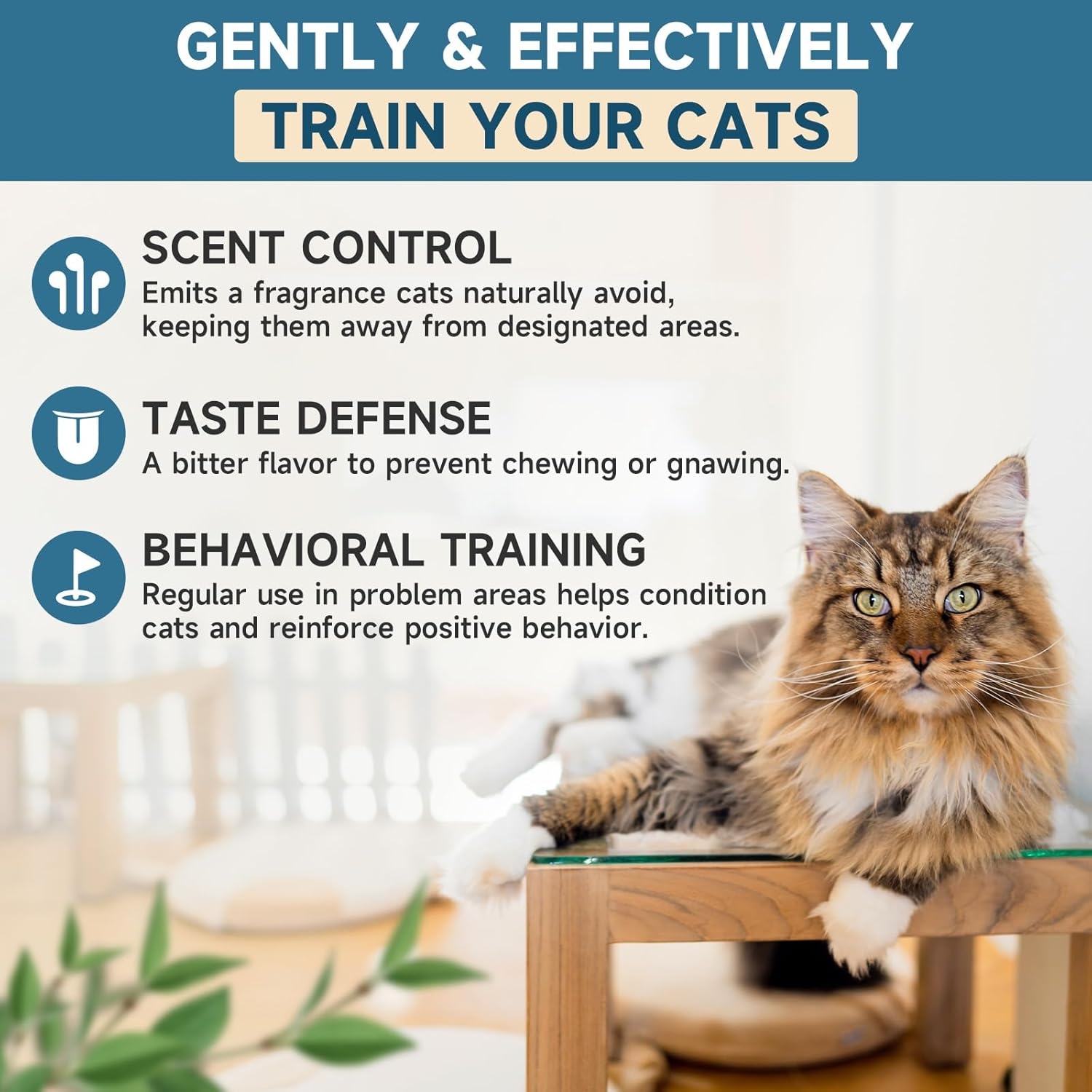 VICSOM Cat Repellent Spray 200Ml, Cat Deterrent Spray Indoor Outdoor, Natural anti Scratch Cat Spray for Scratching, No Trace Cat Spray Deterrent for Cats Kitten Training Aid Protect Furniture Garden image number 5