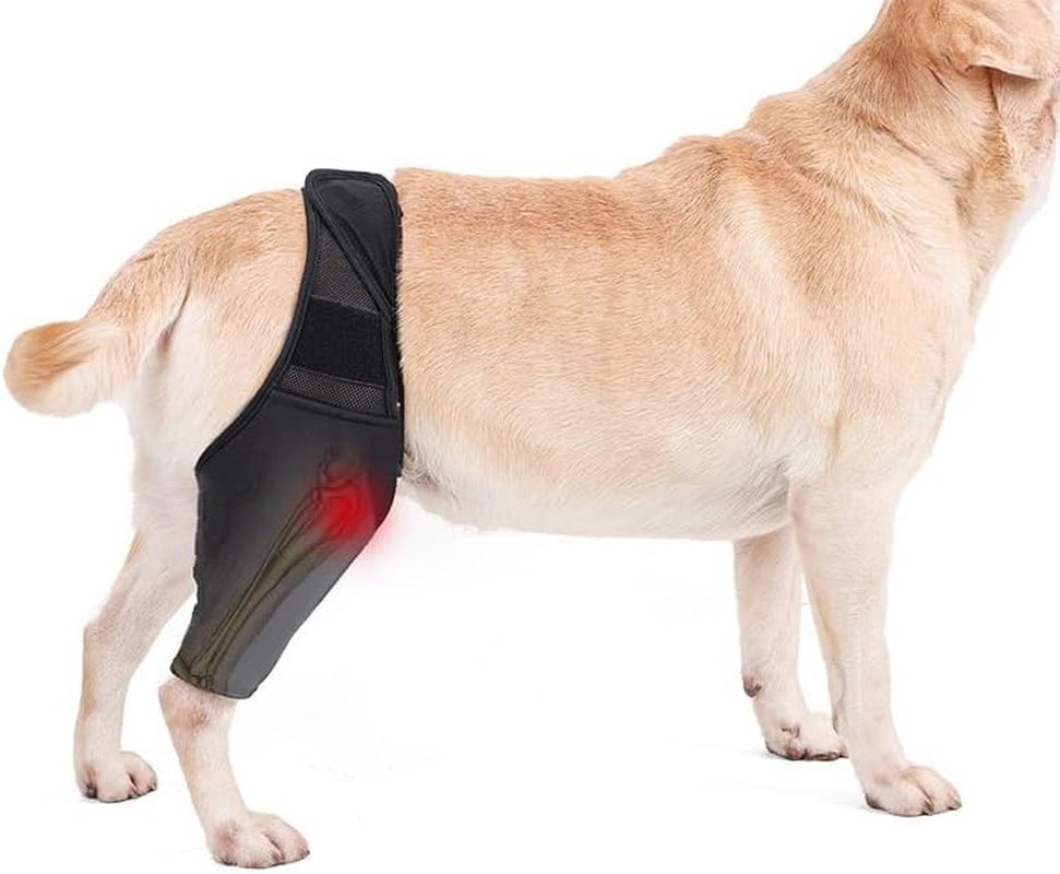 Pet Dog Knee Brace Adjustable Multifunctional Protective Gear with Magic Stickers for Wounds Heals Black M (XL, Black) image number 2