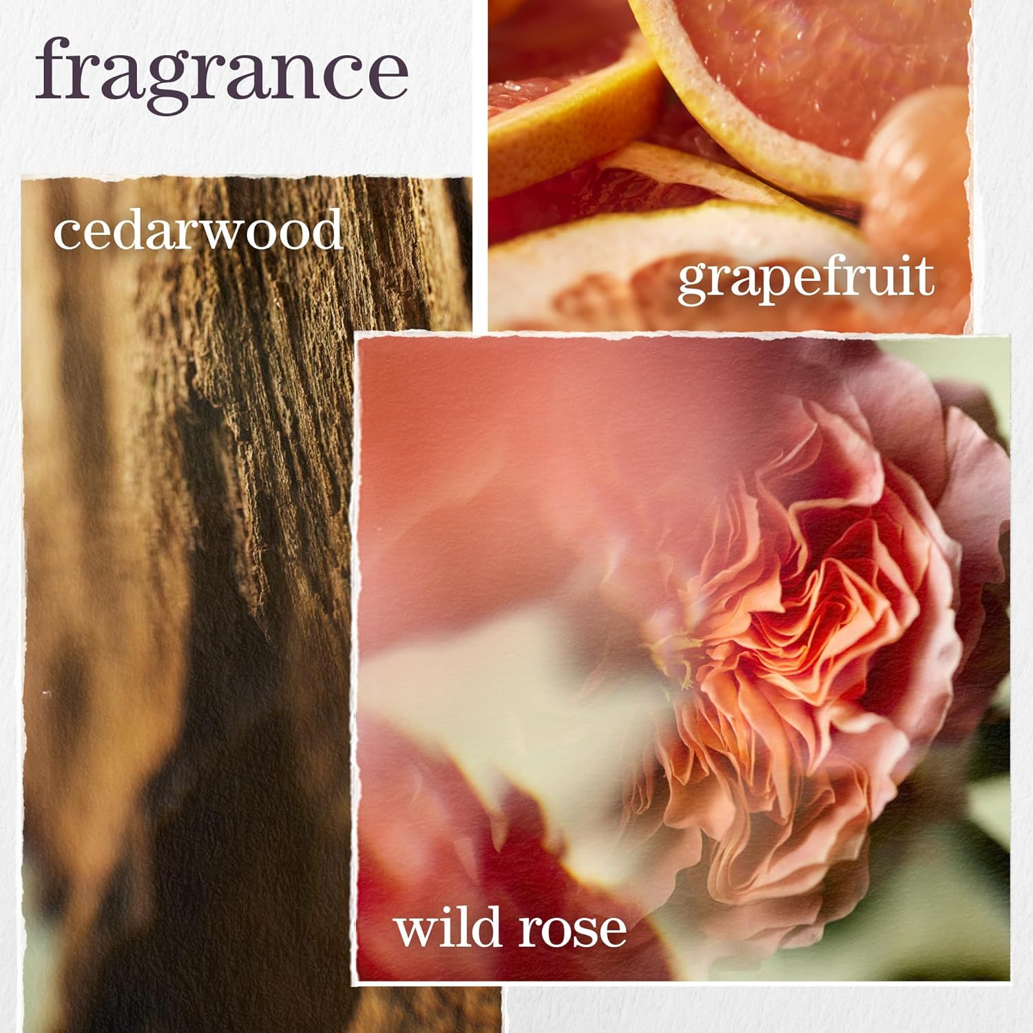 Pureology Pure Volume Shampoo 266 Ml image number 4