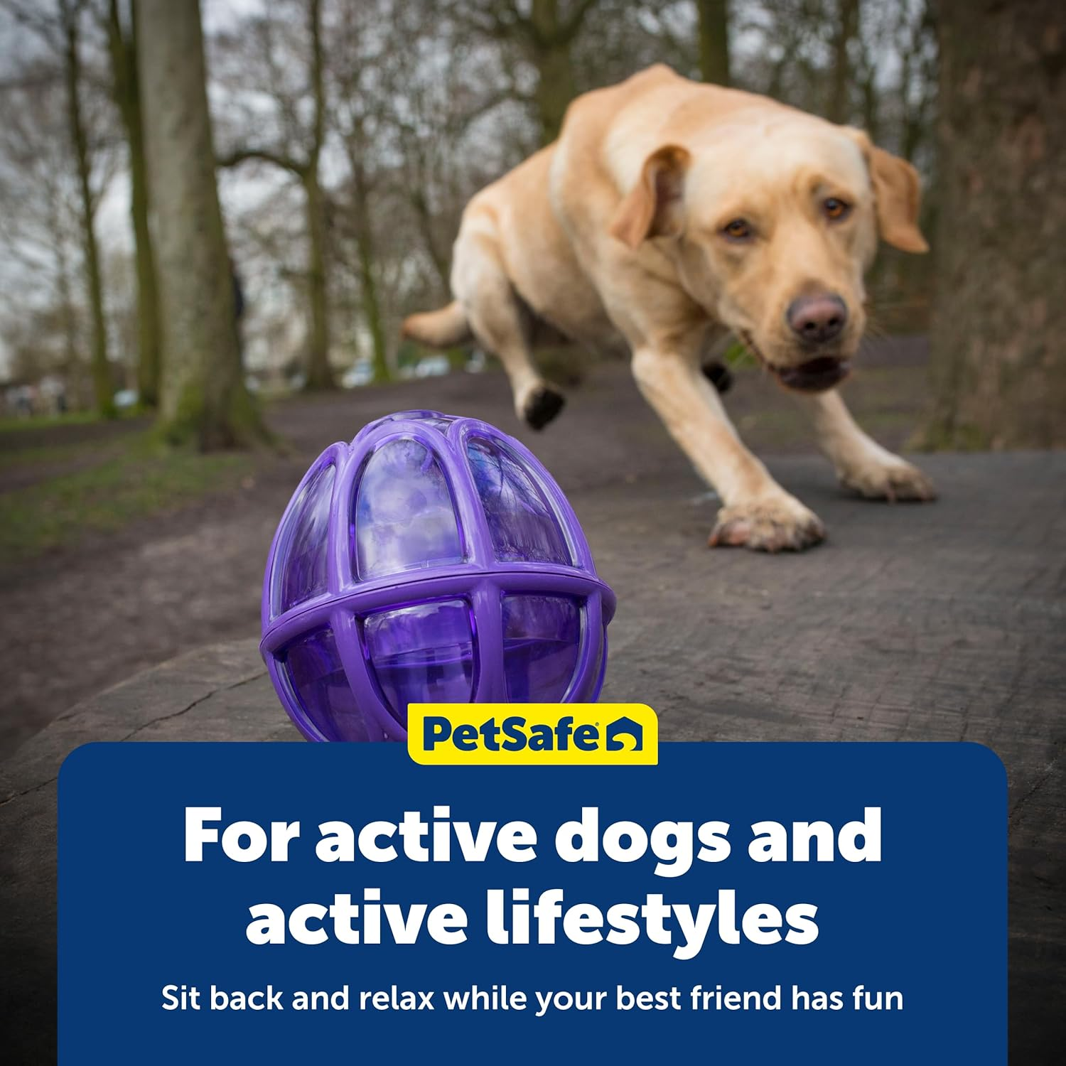 Petsafe Busy Buddy Kibble Nibble Meal Dispensing Dog Toy, Small - Pty00-13739,Purple image number 5