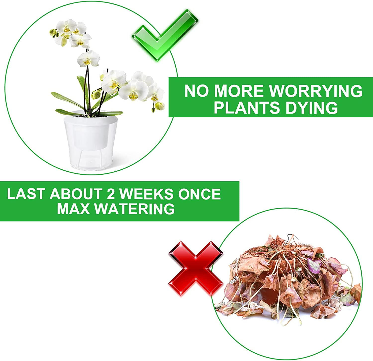 12 Pack Self Watering Pots for Indoor Plants 4.3 Inch Small Self-Watering Planter Pots with Water Level Indicator, Clear Plastic round Plant Pots for Succulent, Flowers, Herbs for Office Home Decor image number 5