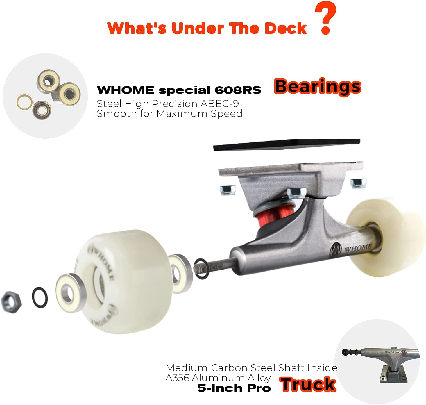 WHOME 31 Inch Double Kick Concave Skateboard Complete Maple Deck PU Wheels ABEC-9 Bearings for Youths Adults Kids Includes T-Tool image number 1