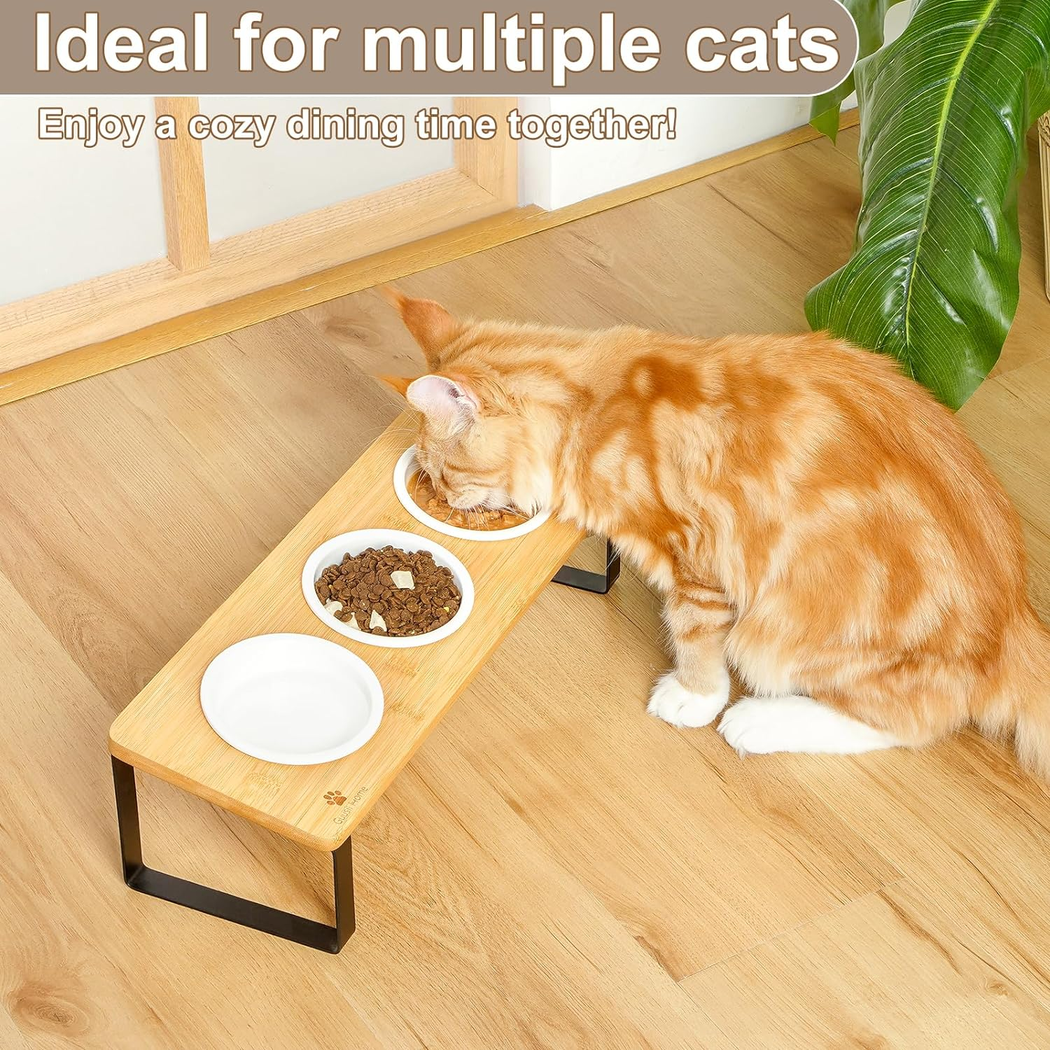 Sunhoo Raised Cat Food Water Bowl Elevated Tilted Kitty Dishes Set of 3 Ceramic Dish for Indoor Cats Orthopedic Pet Food Stand Reduces Vomiting 3 Bowl Cat Feeder Easy Assembly(Wood Color) image number 4