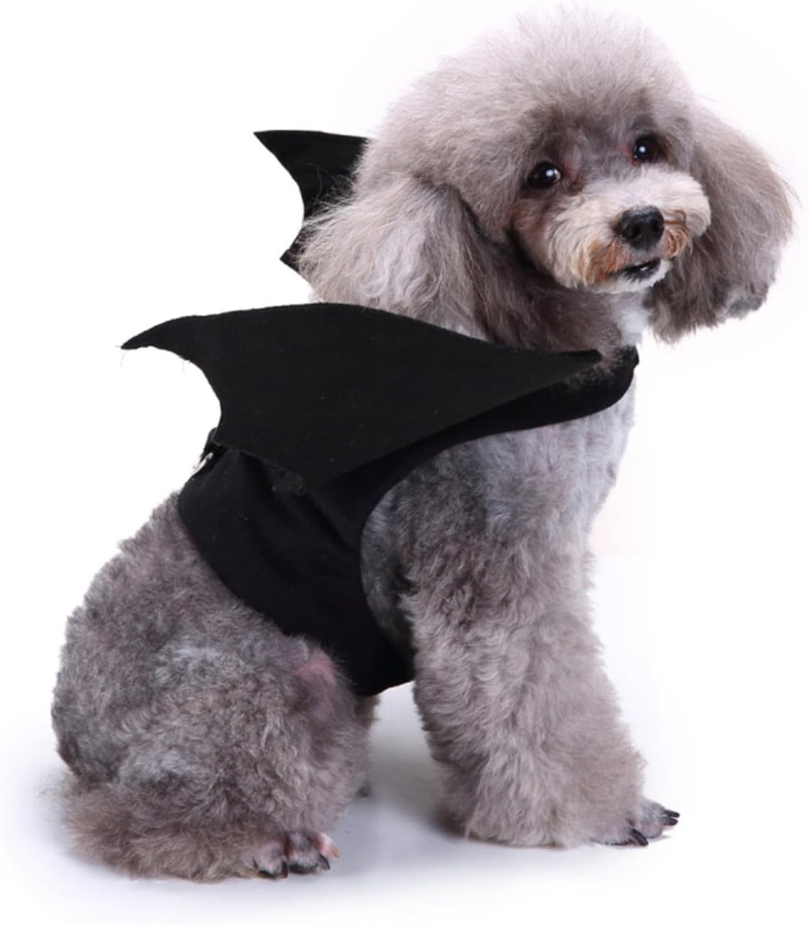 Pet Halloween Costume, Dog Cat Bat Wings Harness Pets Costumes for Medium Small Dogs Cats Puppy Kitten Halloween Cosplay Party Decoration Cute (L) image number 3
