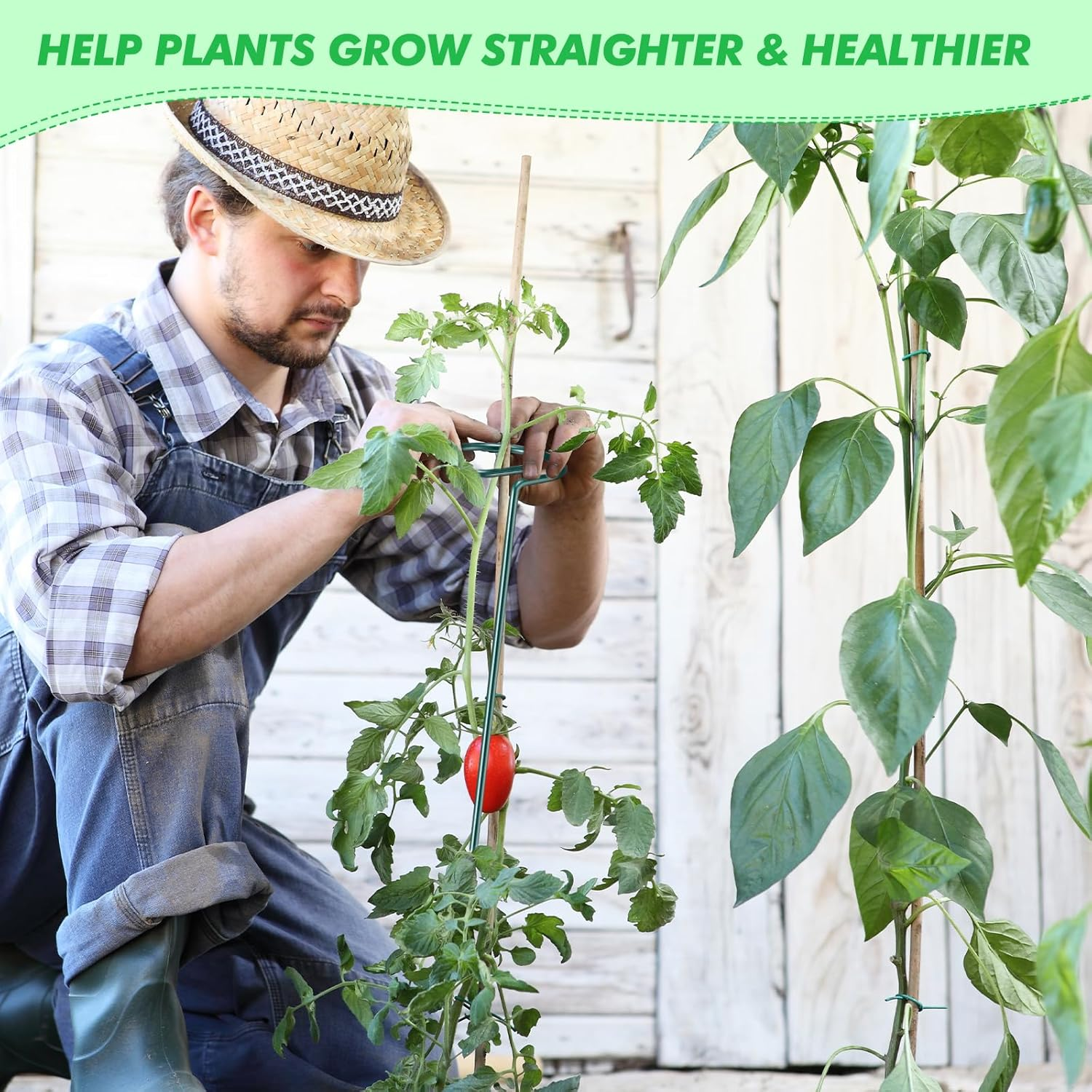 24 Pack Plant Support Stakes for Three Sizes(12 or 24 or 36 Inch) Metal Plant Support Sticks Support Stake Plant Stem for Flowers Amaryllis Tomato Lily Peony Rose Flower Narcissus(36 Inch) image number 5