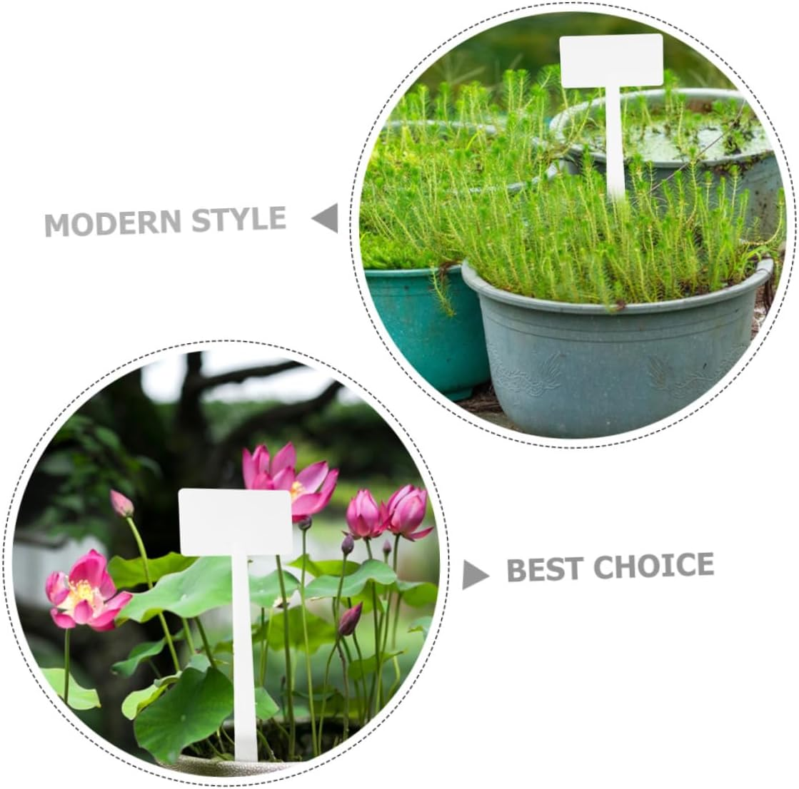 10Pcs Plastic Plant Labels for Garden Decor Plant Tags Markers Name Tags Fun Garden Signage image number 6
