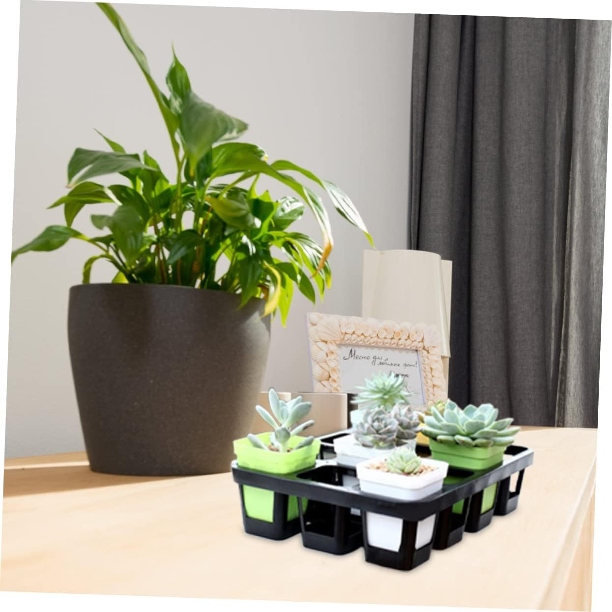 24-Cell Seedling Germination Tray Rack for Succulents and Plants, 2Pcs Black Plastic Starter Tray 7Cm Pots, 43X29X5Cm Gardening Nursery Boxes for Indoor and Outdoor Plant Growth image number 6