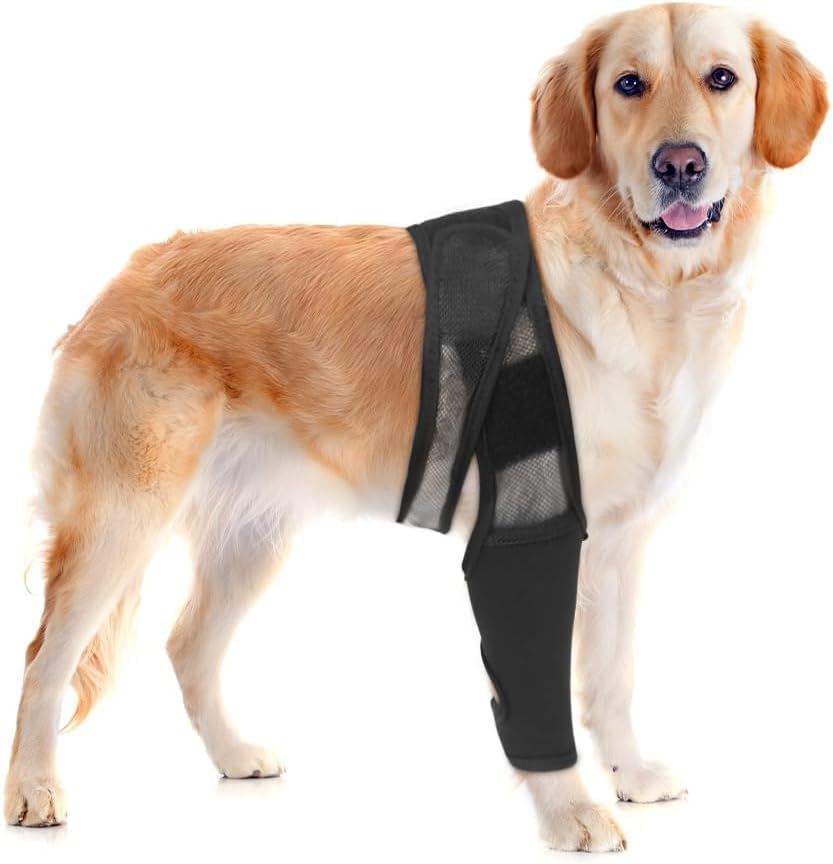 Dog Knee Brace for Torn ACL Hind Leg, Dog Leg Support Brace Breathable Dog Back Leg or Rear Leg Protector, Dog Leg Brace for Better Recovery Dog ACL Brace Hind Leg Adjustable (Black, XL)
