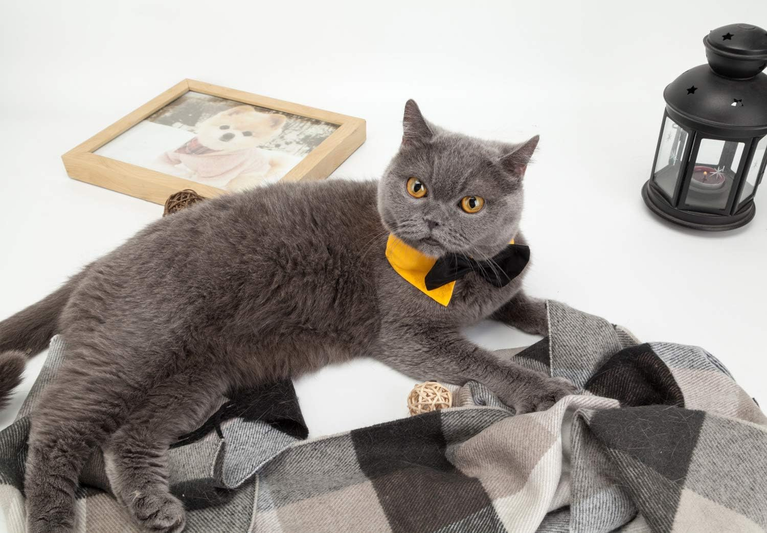 ZTON Handcrafted Adjustable Formal Pet Bowtie Collar Neck Tie for Dogs & Cats (S, Black 1) image number 3