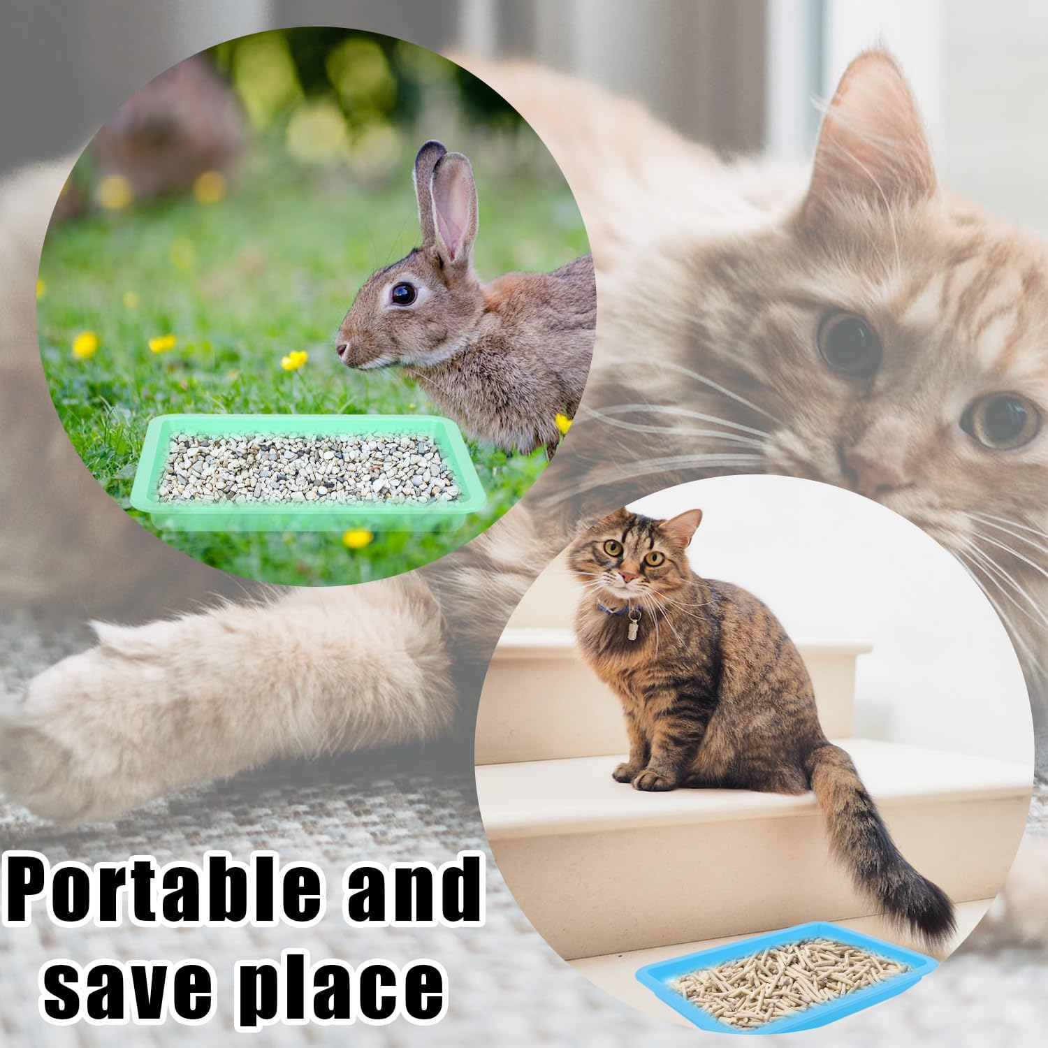 5Pcs Plastic Cat Litter Trays, Shallow Litter Box - Cat Waste Tray for Indoor Kittens (5 Colors) image number 5