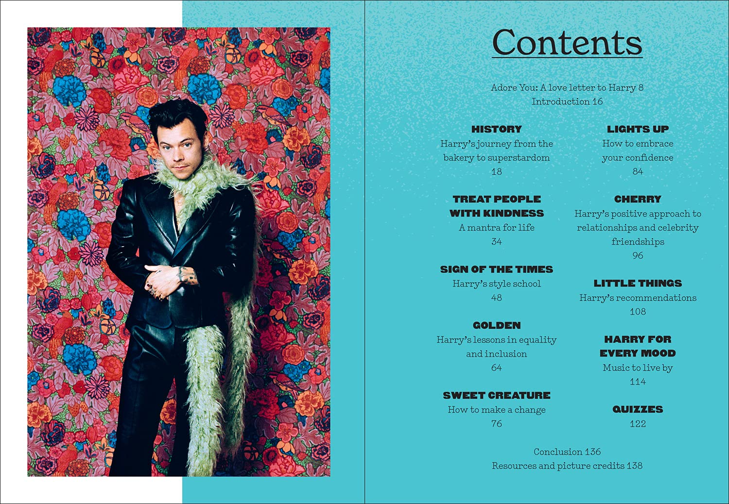 The Book of Harry: a Celebration of Harry Styles image number 6