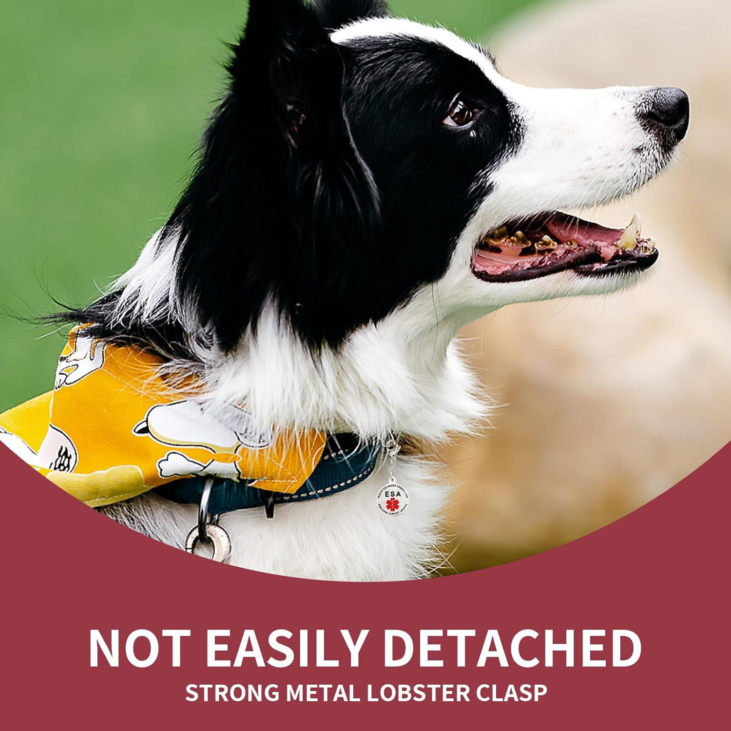 Emotional Support Dog ESA Dog Tag ID Industrial Puppy Emotional Support Dog Tag Red Medical Alert Symbol and Protected by Federal Law Navy Lettering and Red Enamel Trim for ESA and Therapy Dogs image number 6