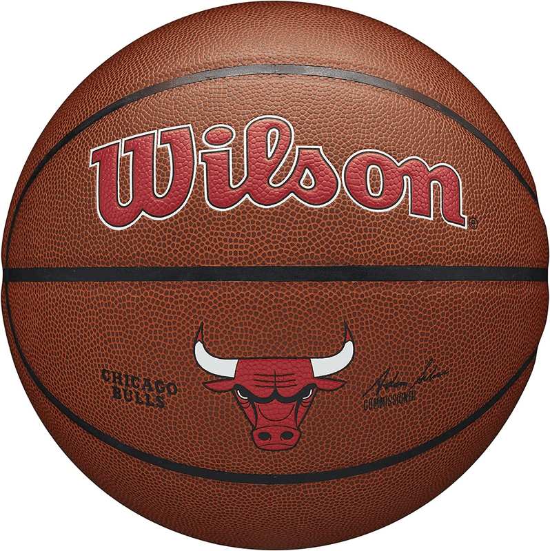 Wilson Basketball, Team Alliance Model