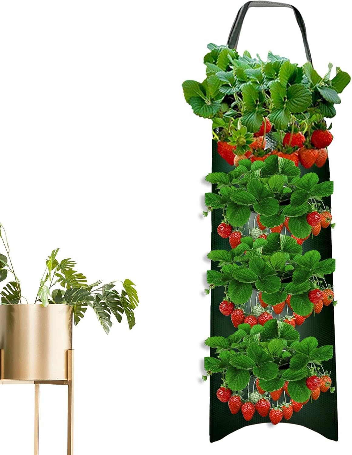 Tomato Planter Bag | 8- Vegetable Planting Aeration Pouch for Growth | Gardening Accessories for Tomatoes, Carrots, Roses, Strawberries, Vegetables image number 2