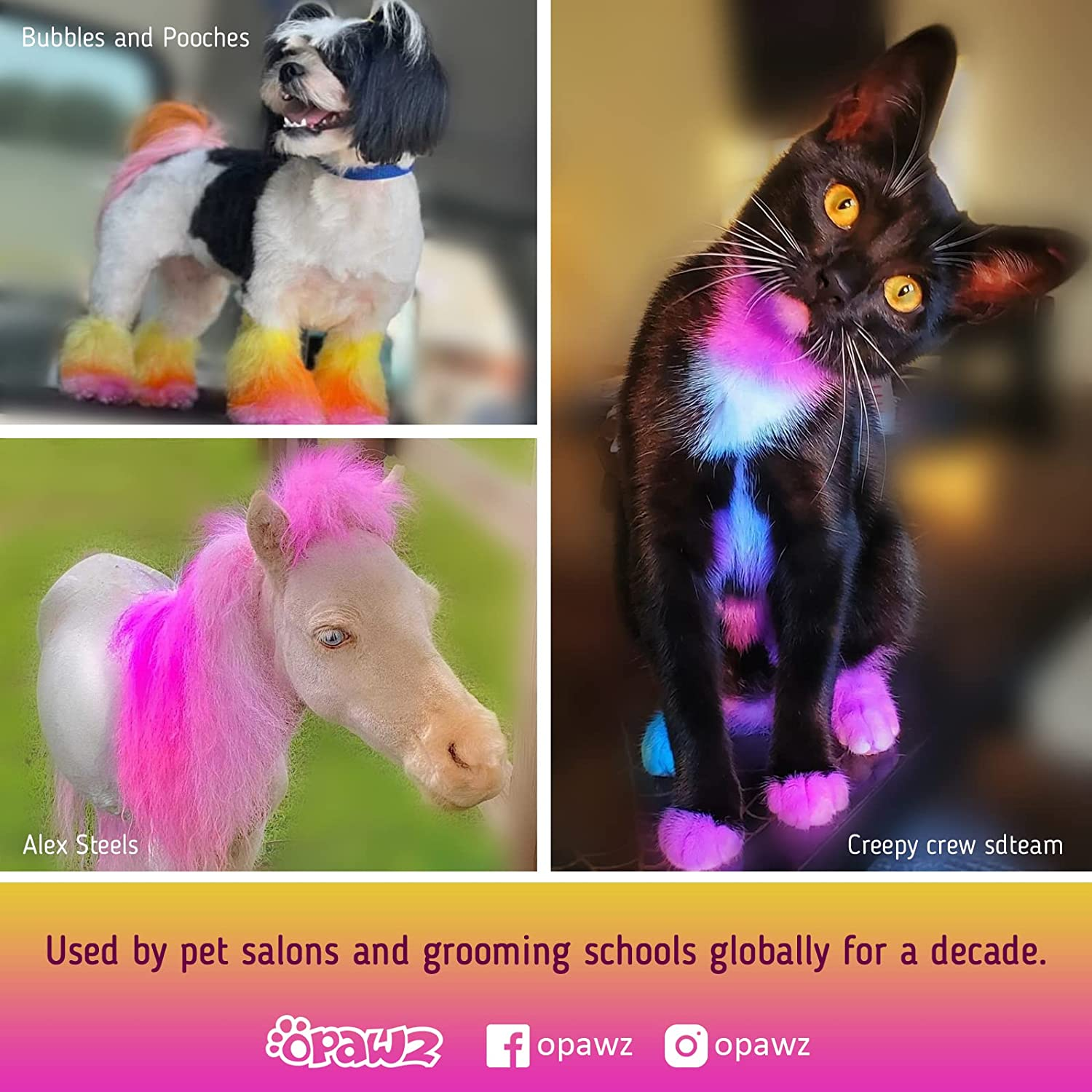 OPAWZ Semi-Permanent Dog Hair Dye, Food-Grade Pigment Dog Dye, Non-Toxic Pet Hair Dye for Dogs, Cats and All Pets Can Be Bathed (Flash Yellow) - Hawaii Blue image number 7