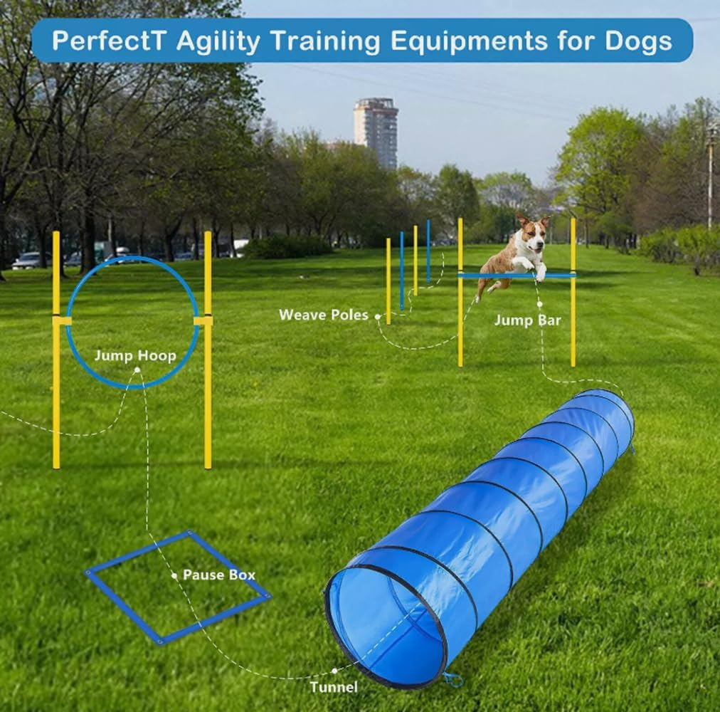 Dog Agility Training Equipment, Dog Obstacle Course Training Starter Kit Includes Tunnel, Weave Poles, Adjustable Hurdle, Jump Ring, Pause Box, Toys and Carrying Bag, Pet Outdoor Games image number 4