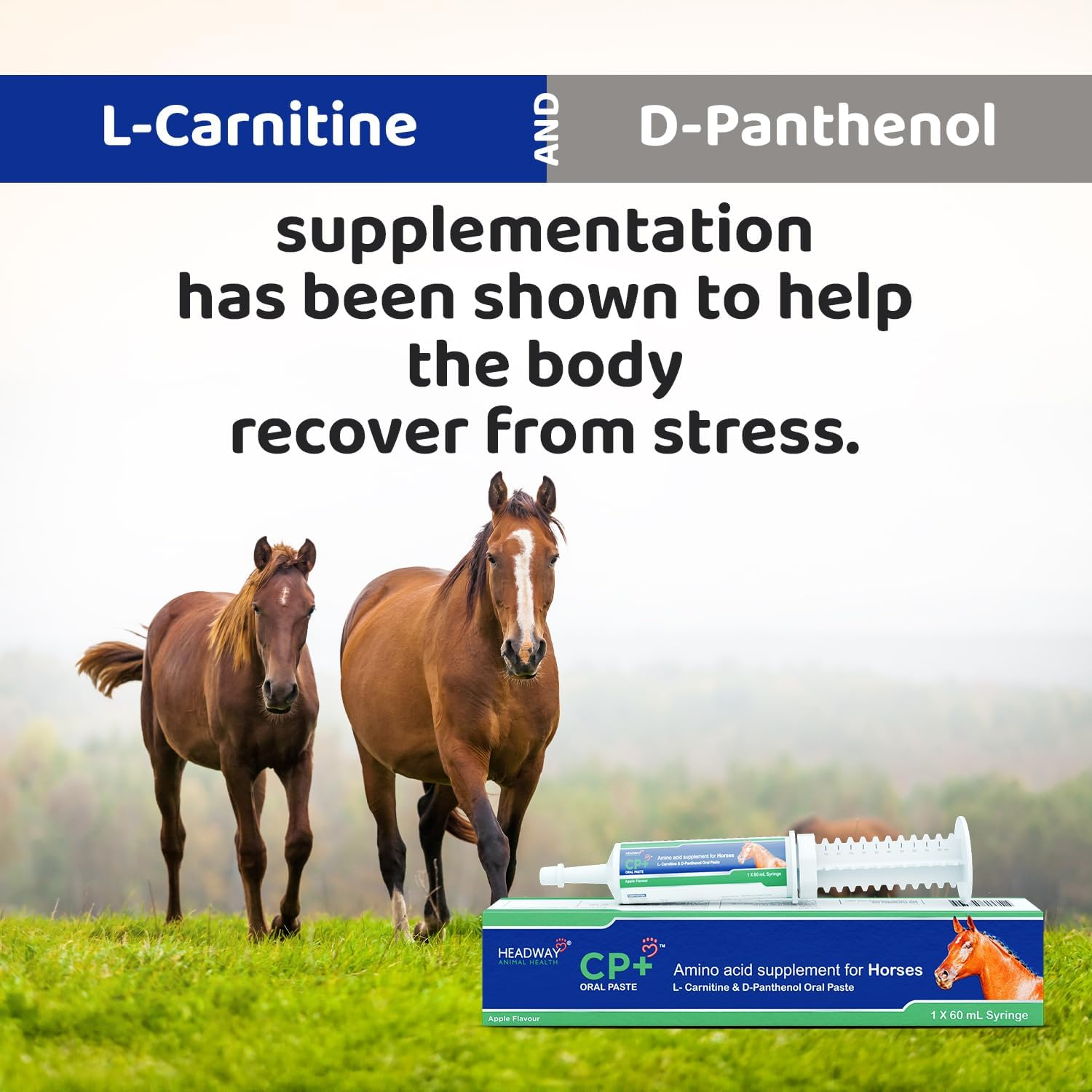 CP+ Amino Acid Oral Paste for Horses 60 Ml, L-Carnitine & D-Panthenol Oral Paste image number 3