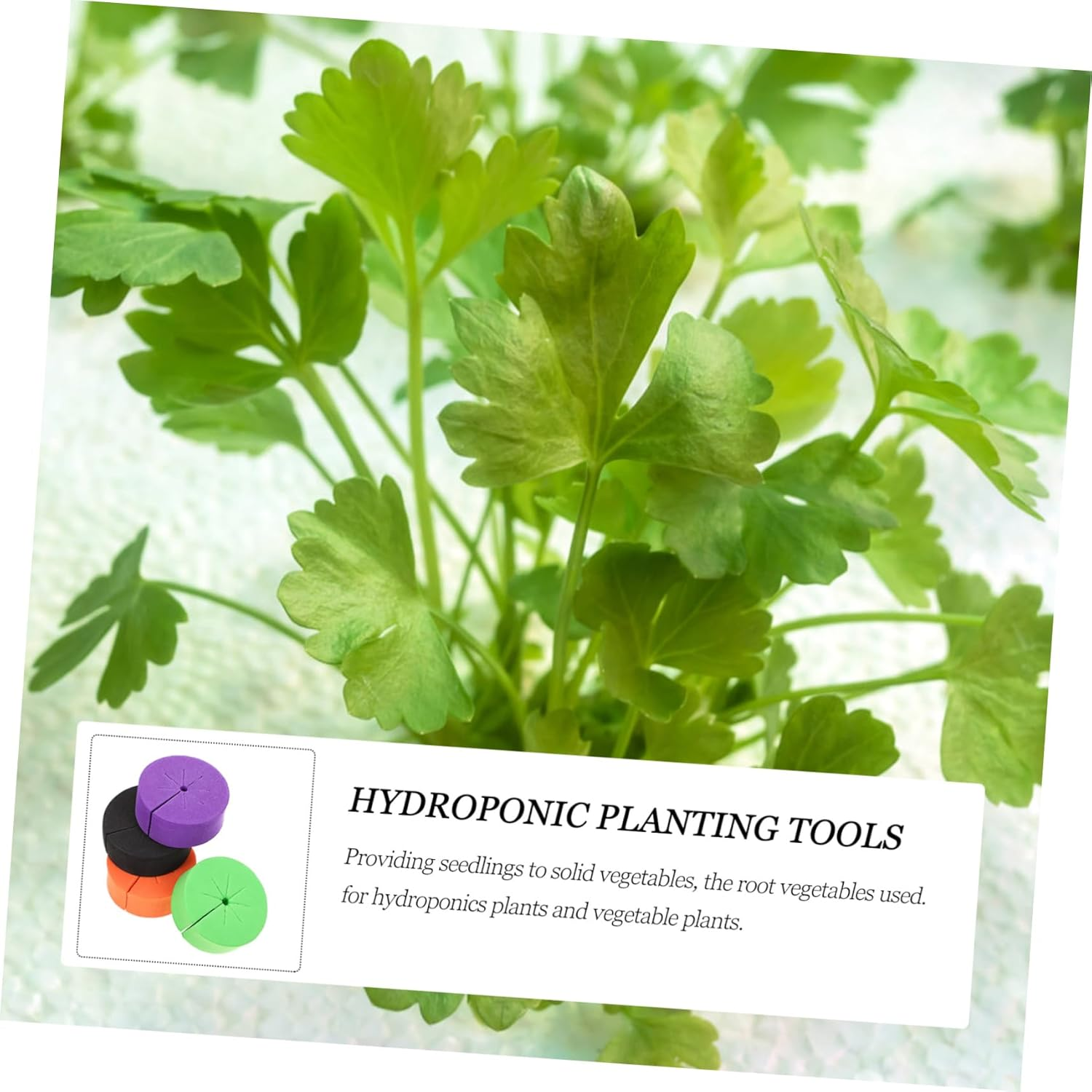 Kisangel 40Pcs Garden Plant Tools Colonial Cotton Eva Hydroponic Tools Soilless Planting Kit High-Yield Vegetable Growing image number 3