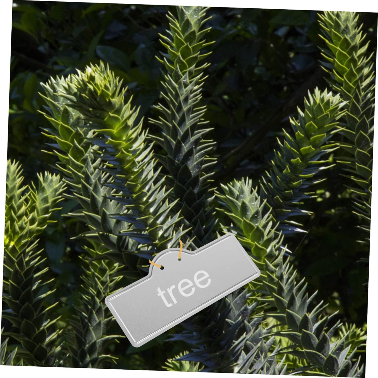 MERRYHAPY 20Pcs Aluminum Plant Labels Metal Plant Tags Outdoor Garden Use for Flower Name Tags image number 6