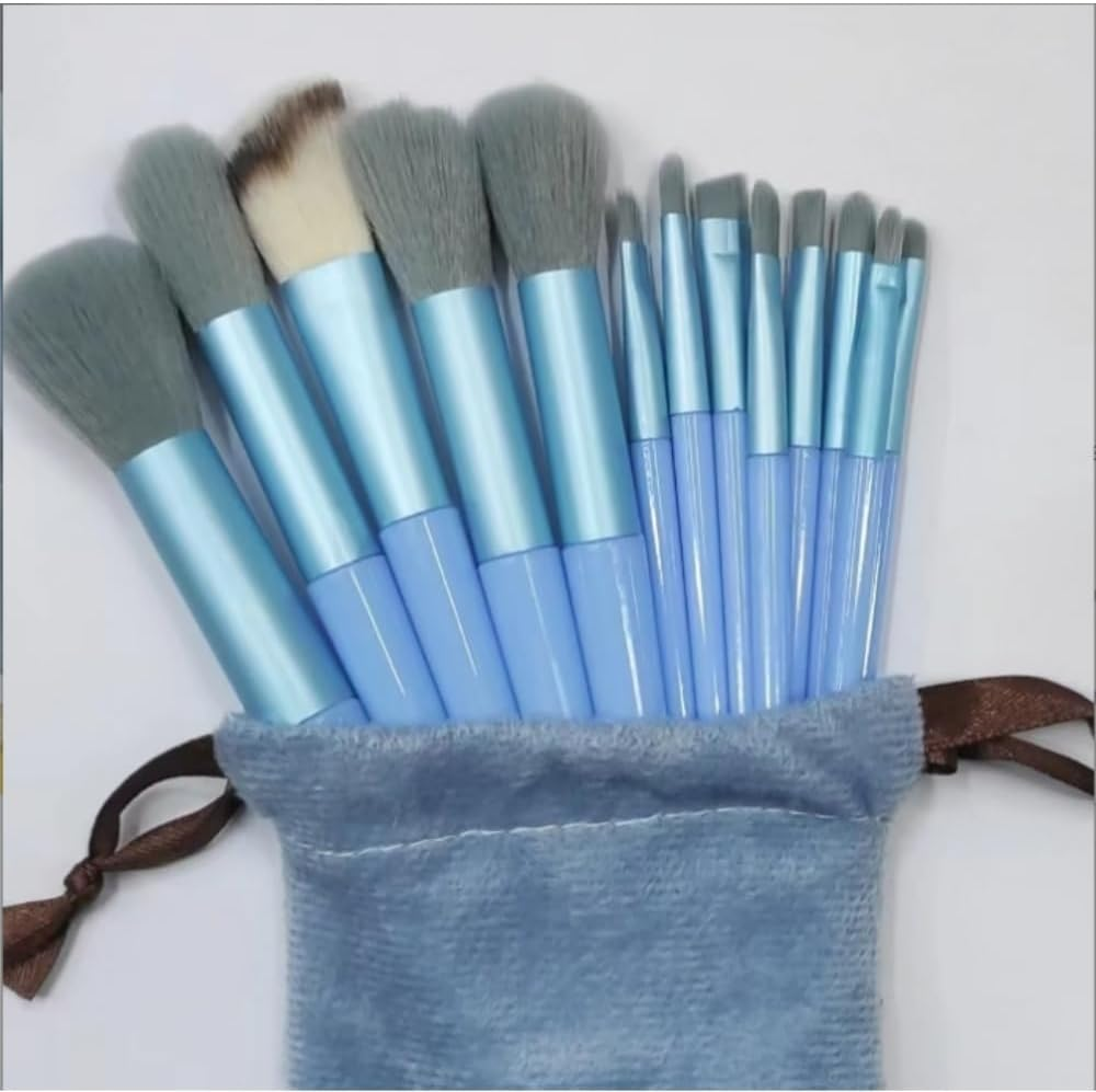 Makeup Brushes Set Professional - 26X Soft Synthetic Bristles Makeup Brush Kit - Face Brush Set Diversity Makeup Brushes for Beginners Professional Face Cheek Eye(Blue,Pink)