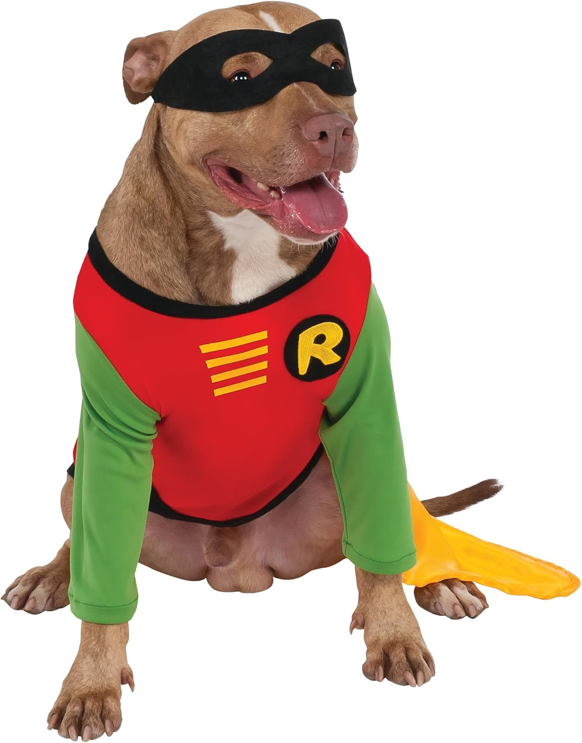 DC Comics Teen Titans Pet Costume, Large, Robin