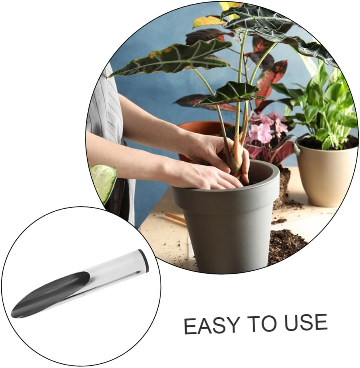 Stainless Steel Soil Scoop and Planting Spoon for Gardening Small Size Multi-Use Garden Shovel Bucket for Bonsai Succulents and Home Vegetable Planting image number 5