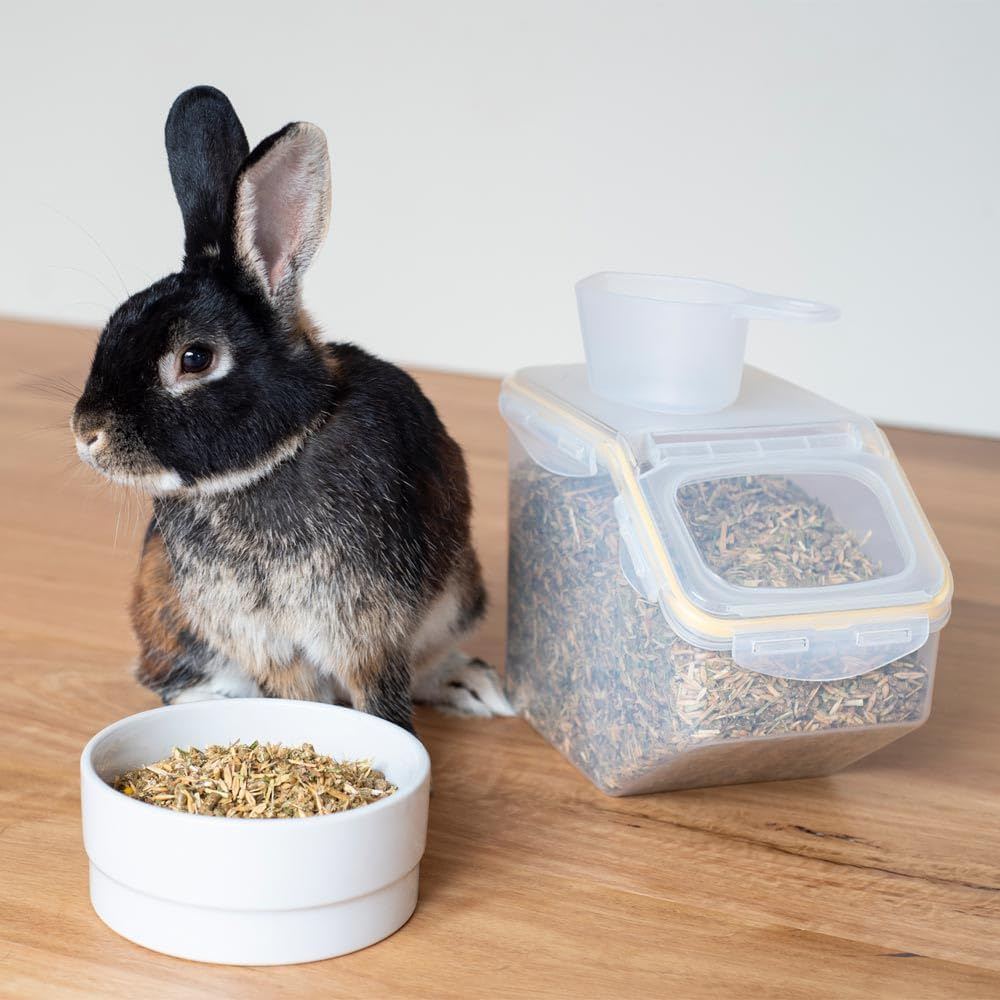 Locknlock Translucent/Yellow Polypropylene Pet Food Storage Container 5 Litre &ndash; Keep Your Pet&rsquo;S Food Fresh and Organised | Durable Snap-Down Locking Mechanism | Flip-Top Lid | Tapped Spout image number 2