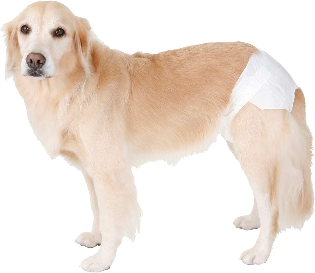 Petio Zuttone Disposable Paper Diaper Nappy for Dogs (Pack of 12), 3X-Large image number 1