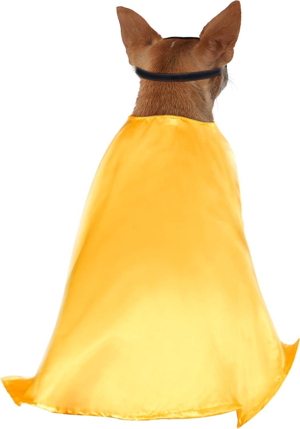 DC Comics Teen Titans Pet Costume, Large, Robin image number 2