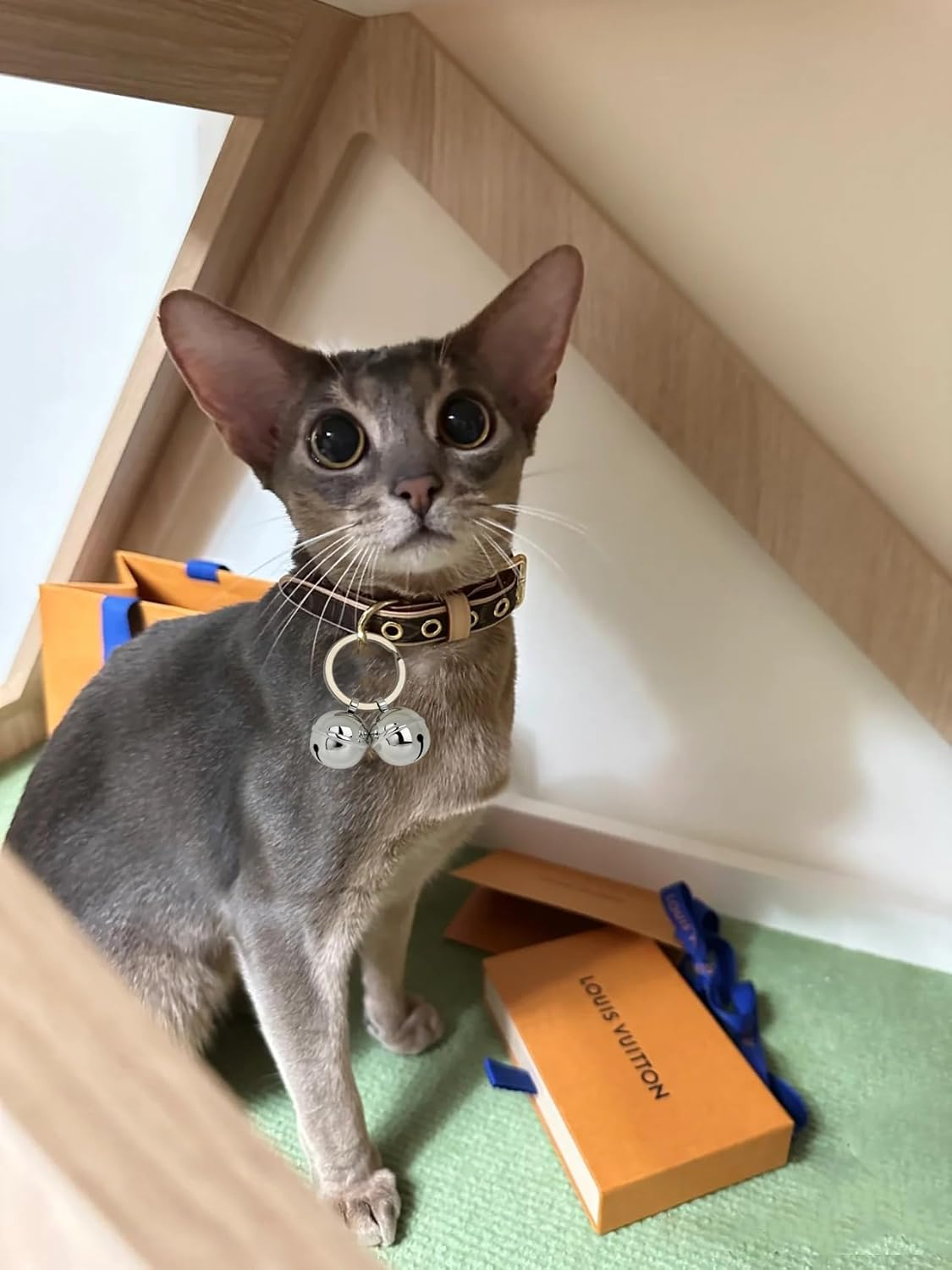 ROHOME Cat Dog Collar with Pet Tracker - Handmade Pure Copper Pendant Bell - Loud Anti-Lost Training Bell for Collar - save Birds & Wildlife image number 1