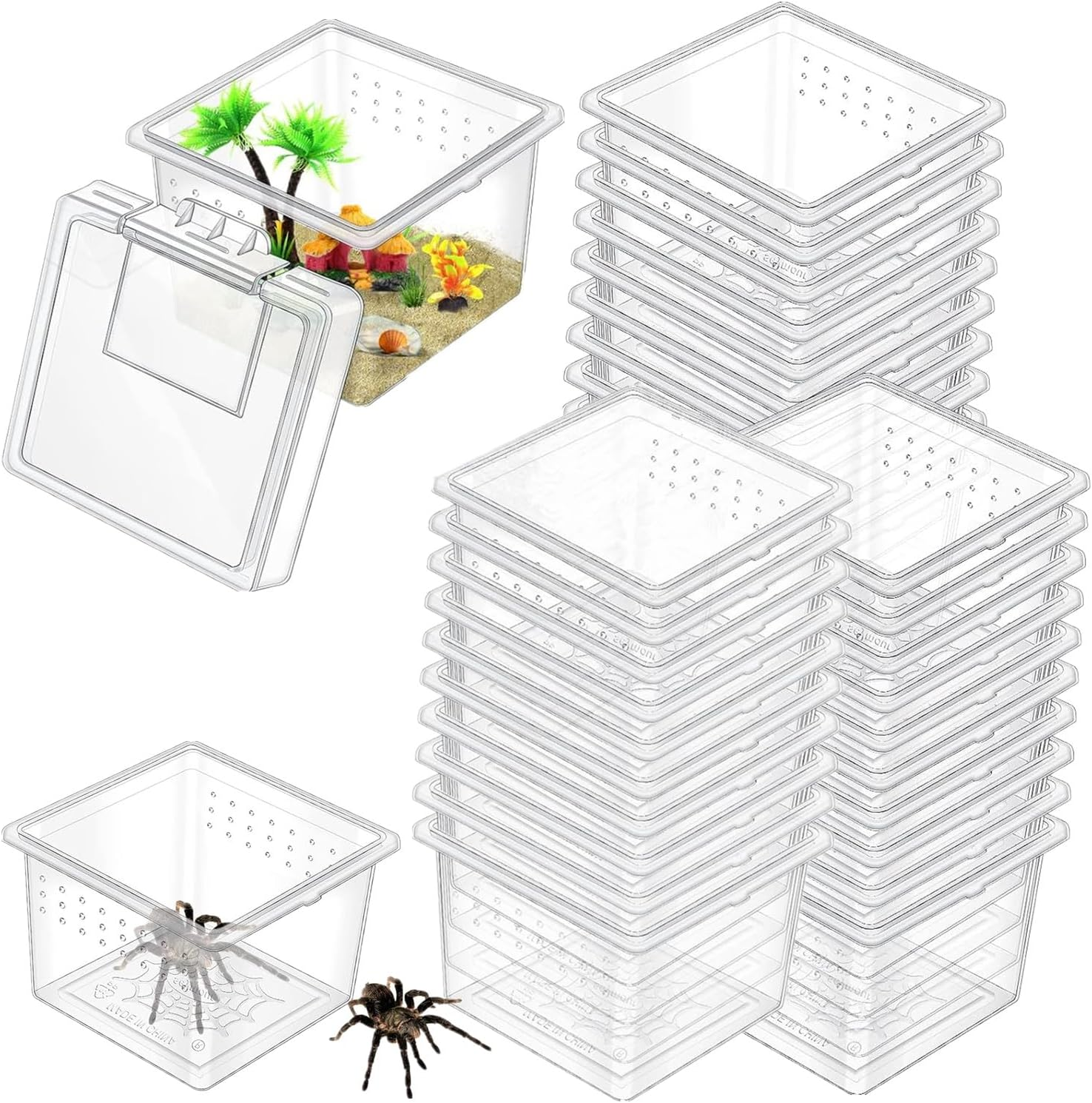 30 Pcs Insect Spider Terrariums Breeding Box, Tarantula Enclosure,Enclosures for Small Reptiles, Centipedes with Lids for Insect & Spider Breeding & Reptile Hatching(Small Size)