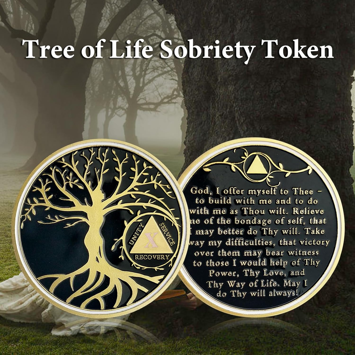 10 Year Sobriety Coin, Tree of Life AA Chips and Medallions Sobriety Recovery Chip Anniversary Sober Token Alcoholics Anonymous Recovery Gifts for Women Men - 10 Year image number 5