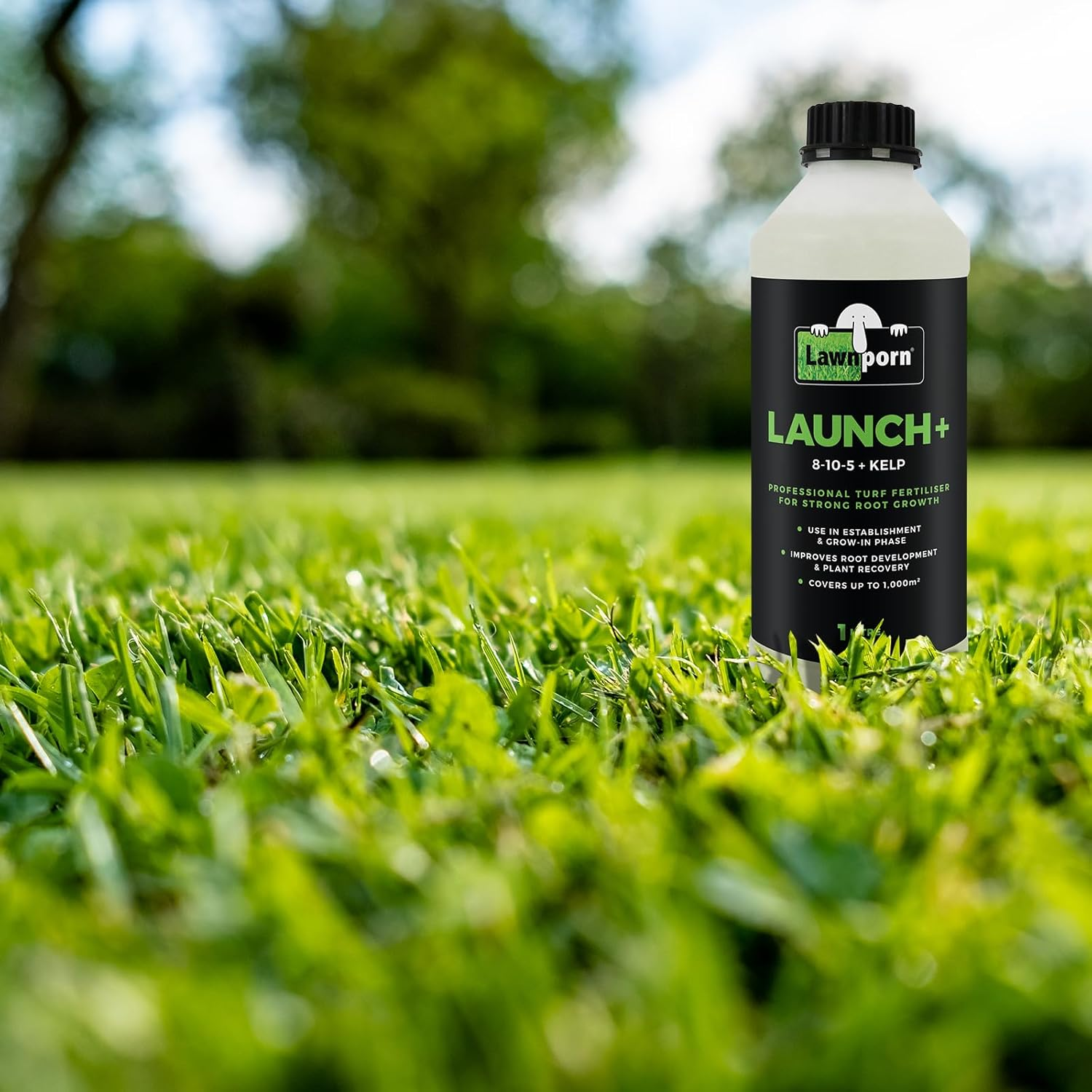 Lawnporn Launch+ Turf Fertiliser