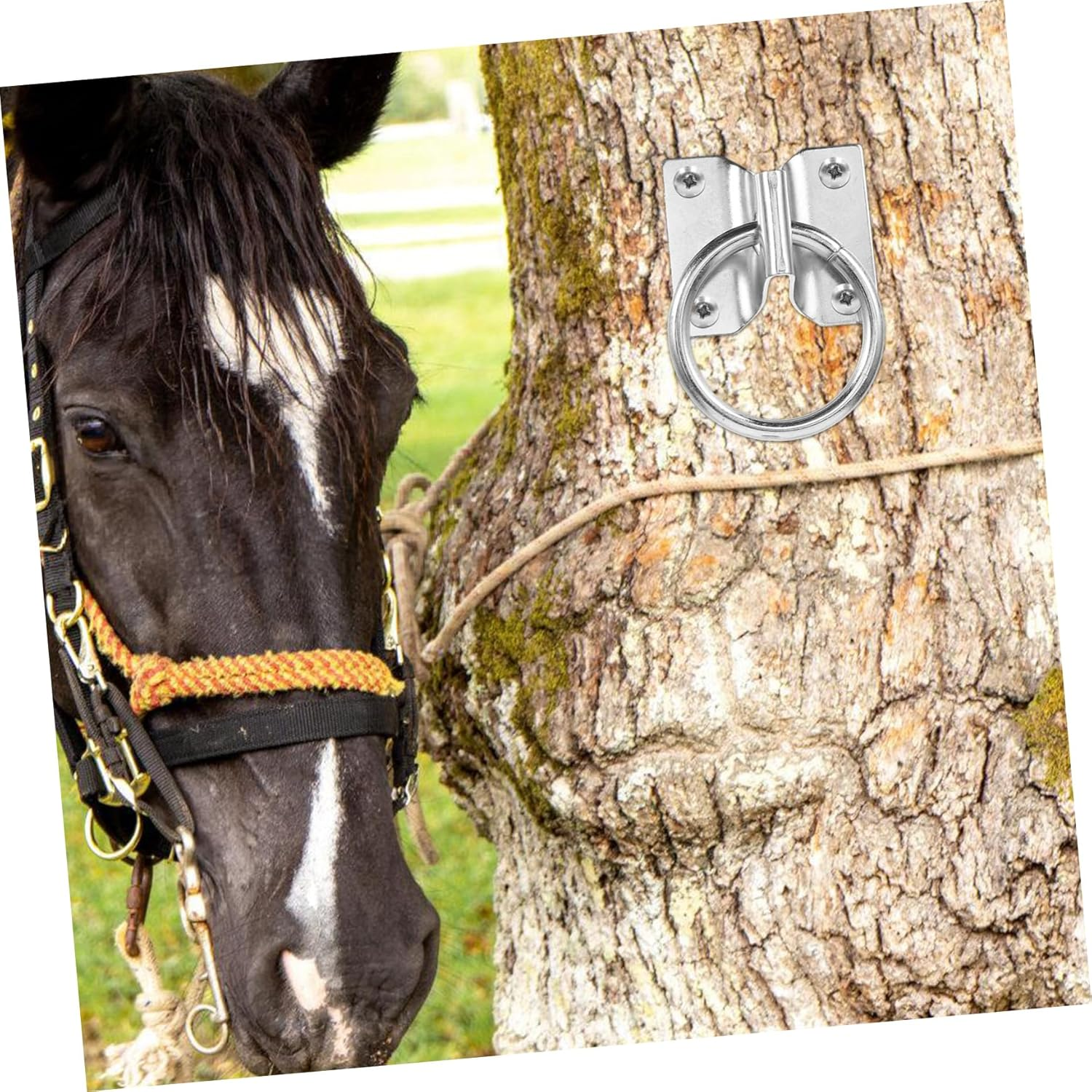 KOMBIUDA 4Pcs Horse Tie Ring Heavy Duty Tie Hardware for Horse Supplies Safe Portable image number 6