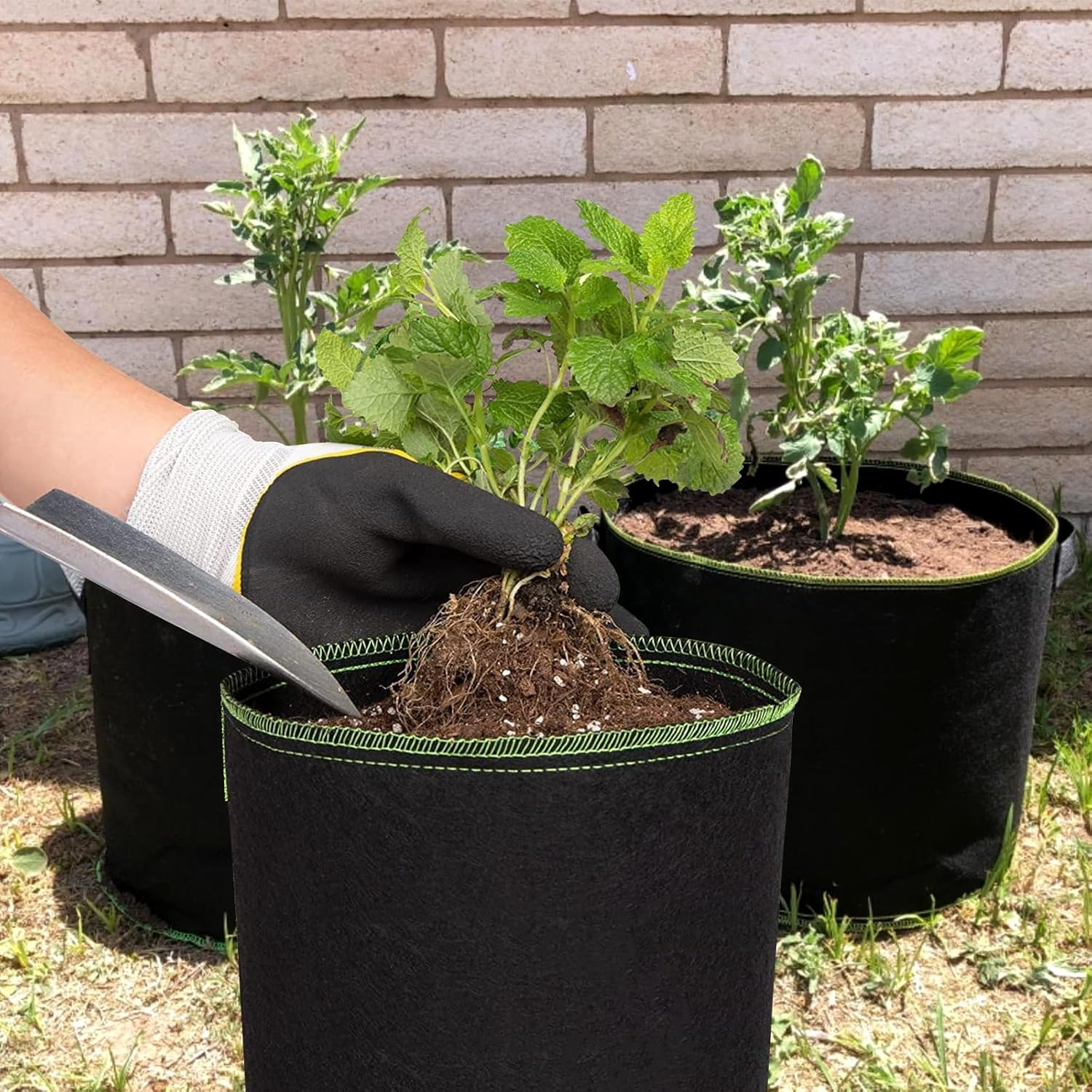 5-Pack Plant Grow Bags, Heavy Duty Nonwoven Aeration Fabric Pots, Reusable Garden Planter Pots for Vegetables, Flowers, Plants (12 Gallon) image number 3