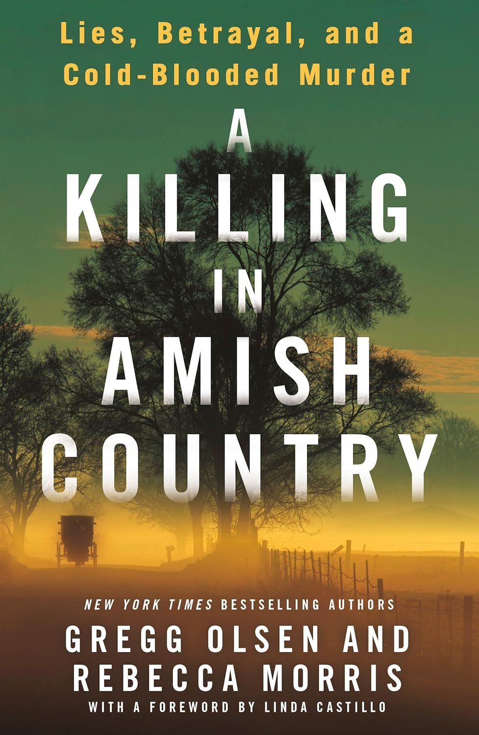 A Killing in Amish Country: Sex, Betrayal, and a Cold-Blooded Murder image number 1