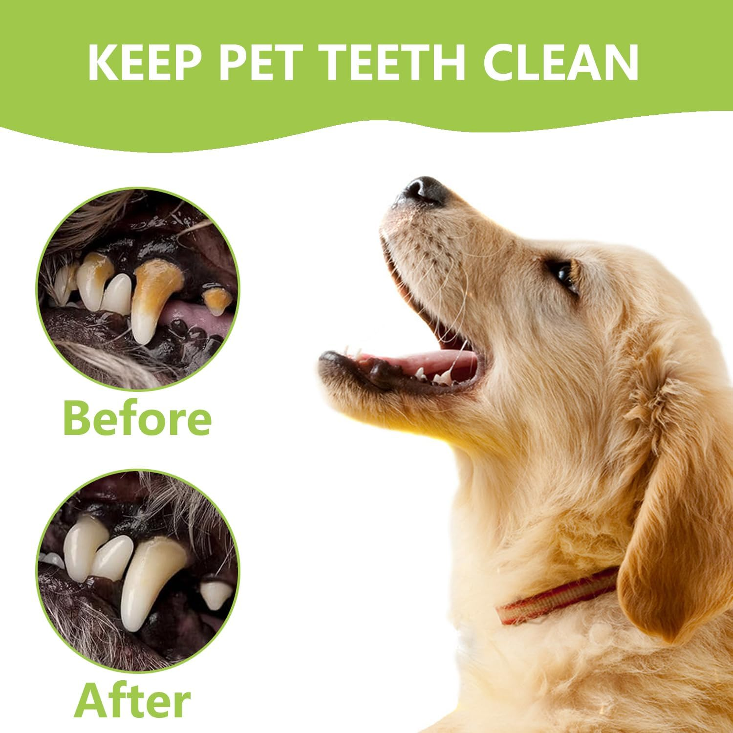 8 Pcs Dental Tools Pet Dog Teeth Cleaning Tool Kit, Stainless Steel Dental Picks Mouth Mirror Tooth Scraper Plaque Tartar Remover, Pets Oral Care Hygiene Set for Dogs and Cats Use with Case image number 3